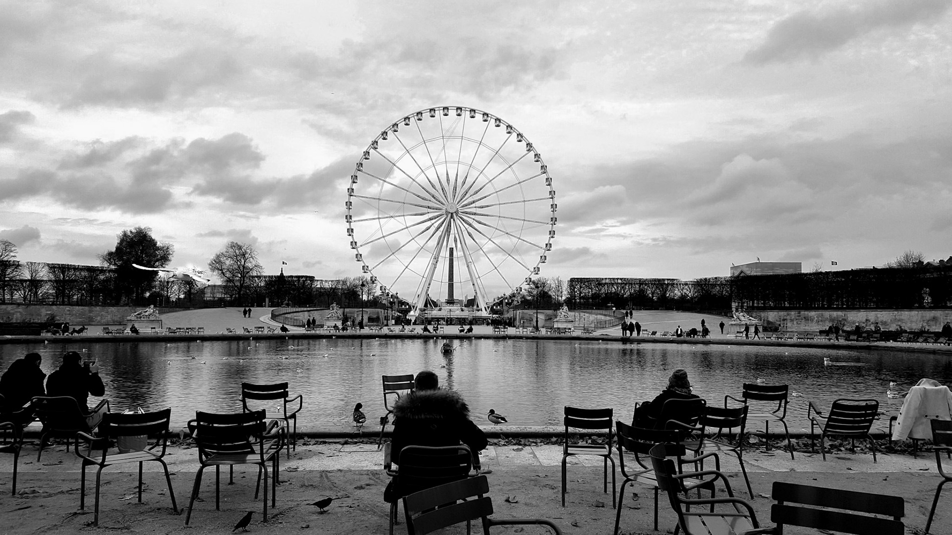 tuilleries, grande roue