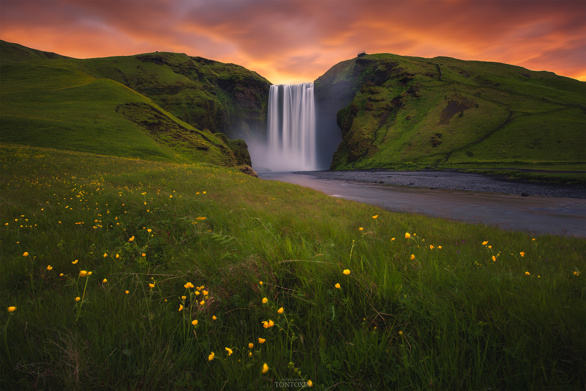 Nature's Heart