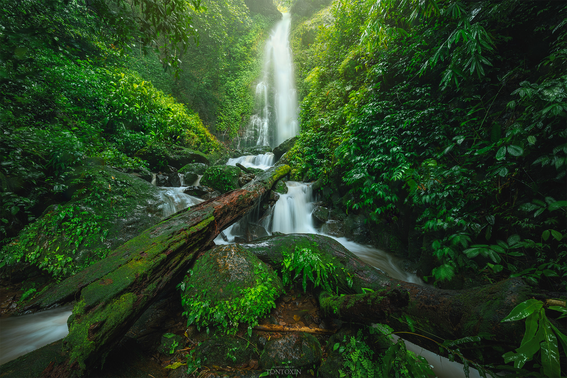 Green Fall