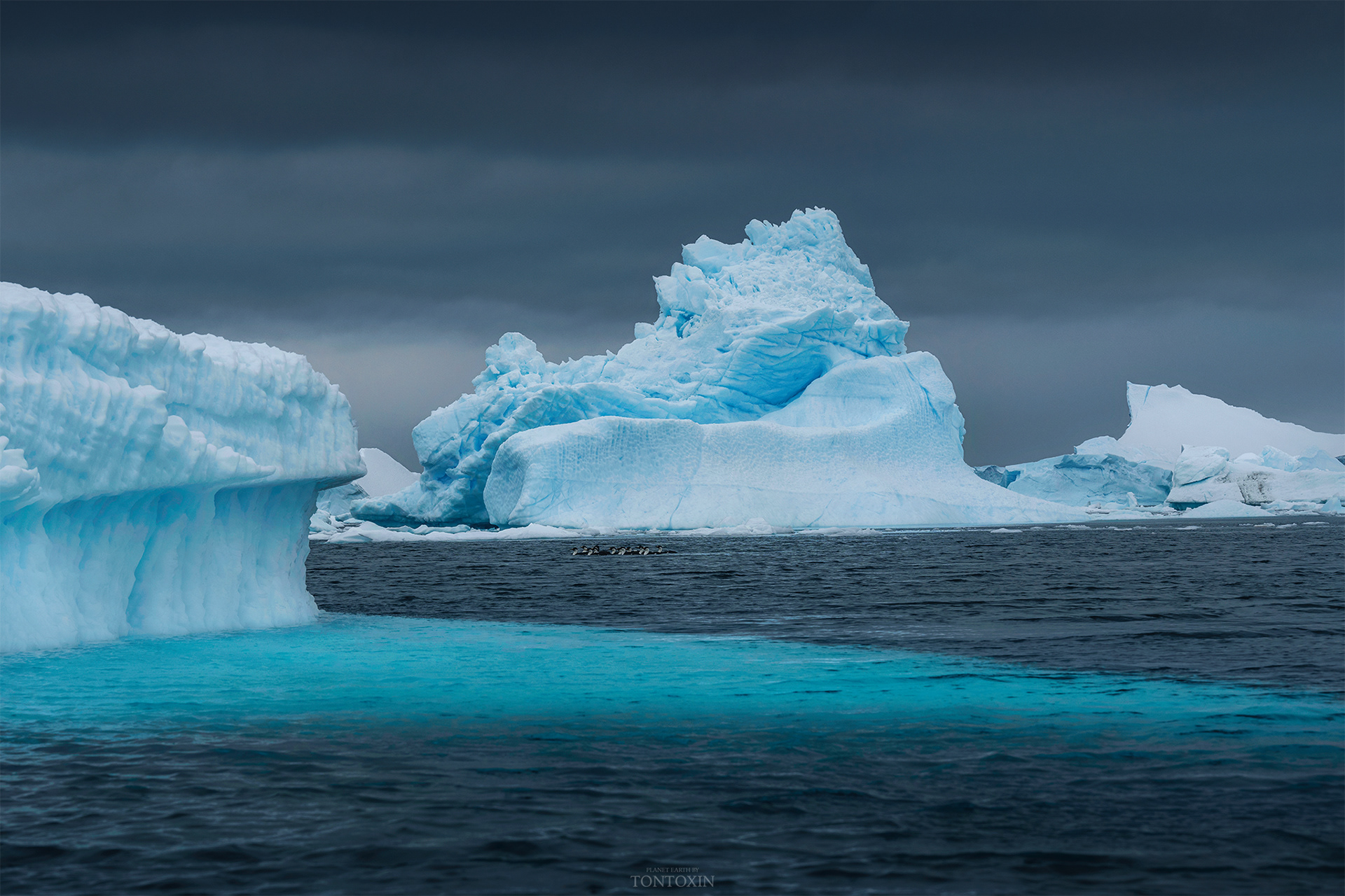 Floating in Antarctica