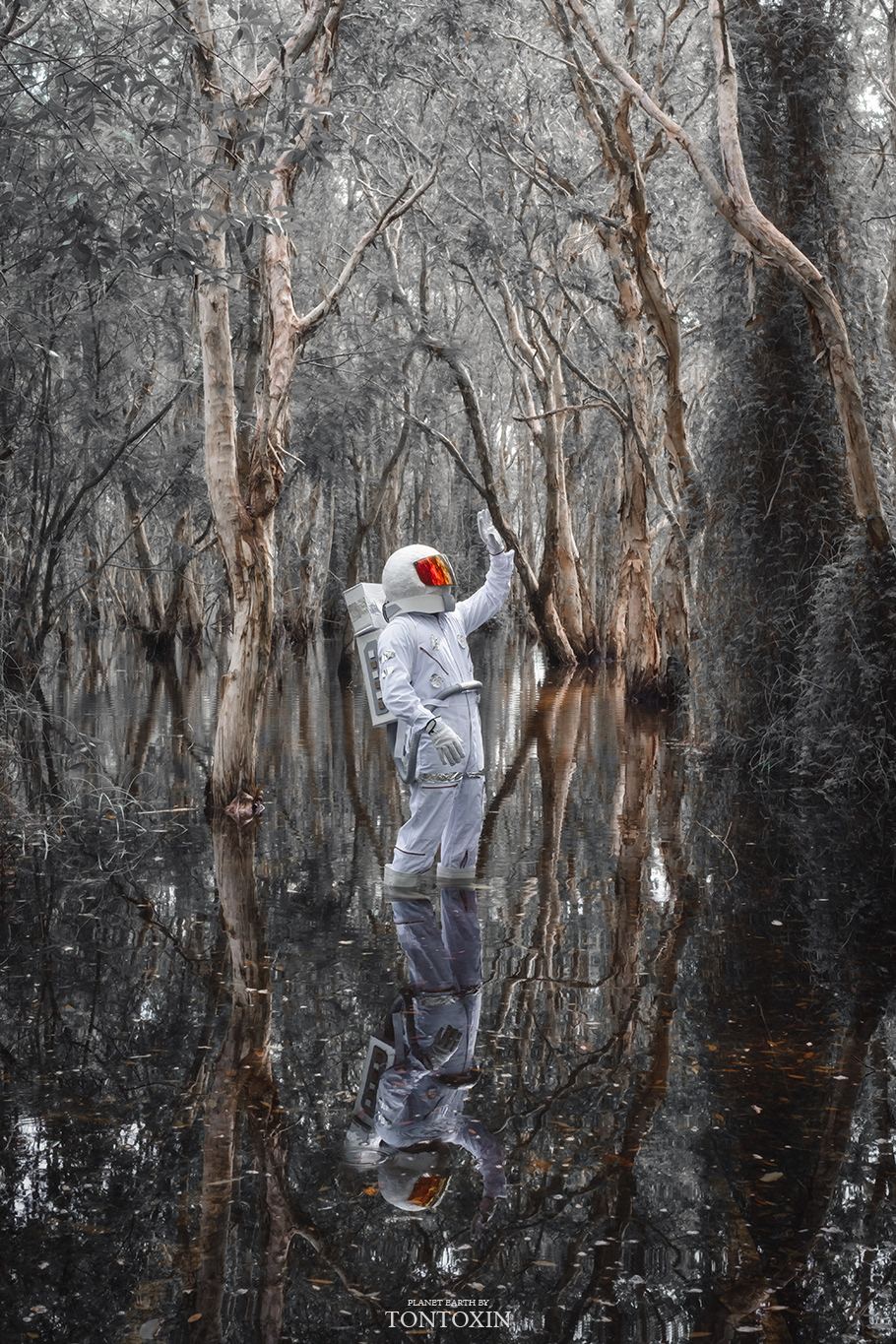 Amongst the sunshine