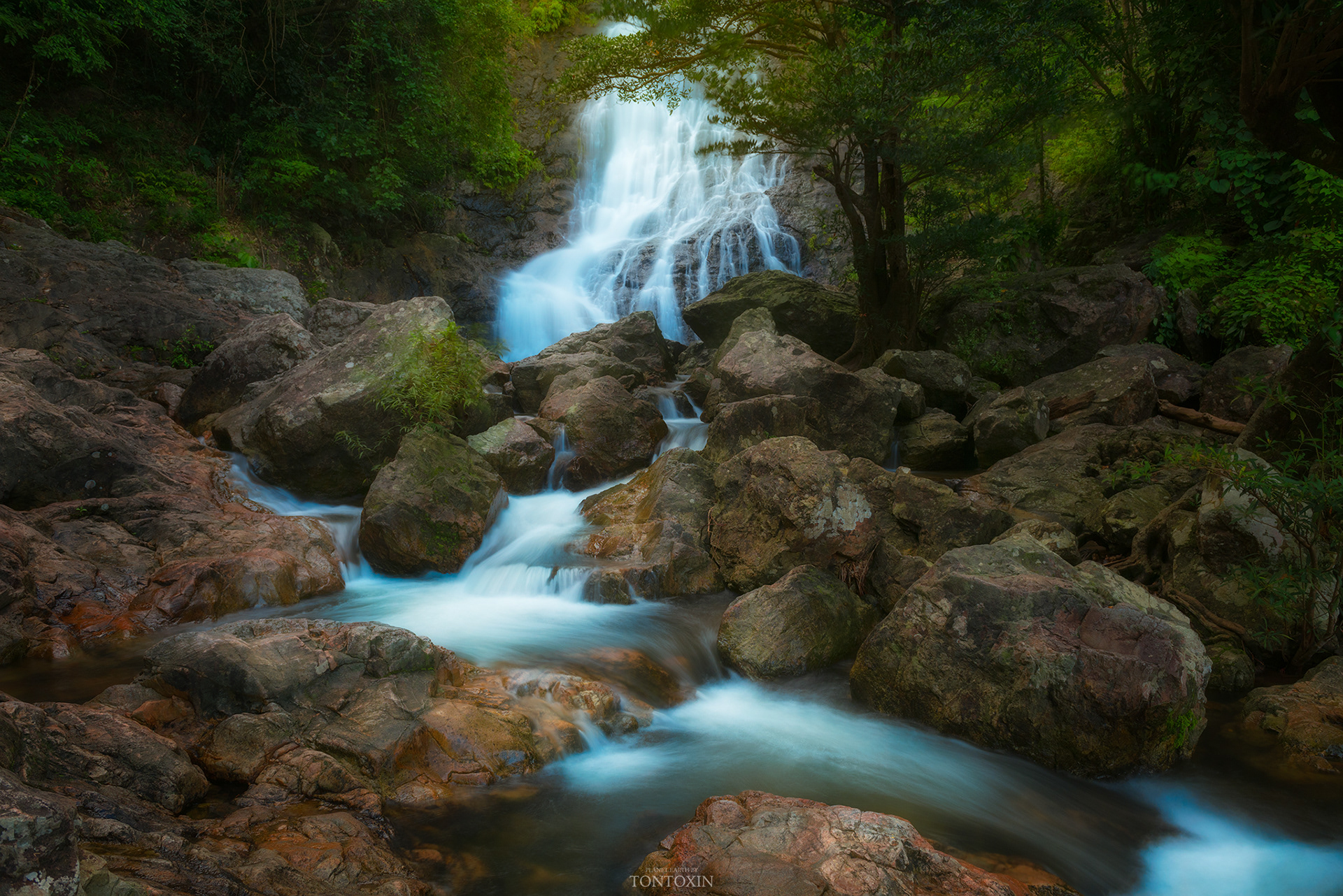 Essence of Lush