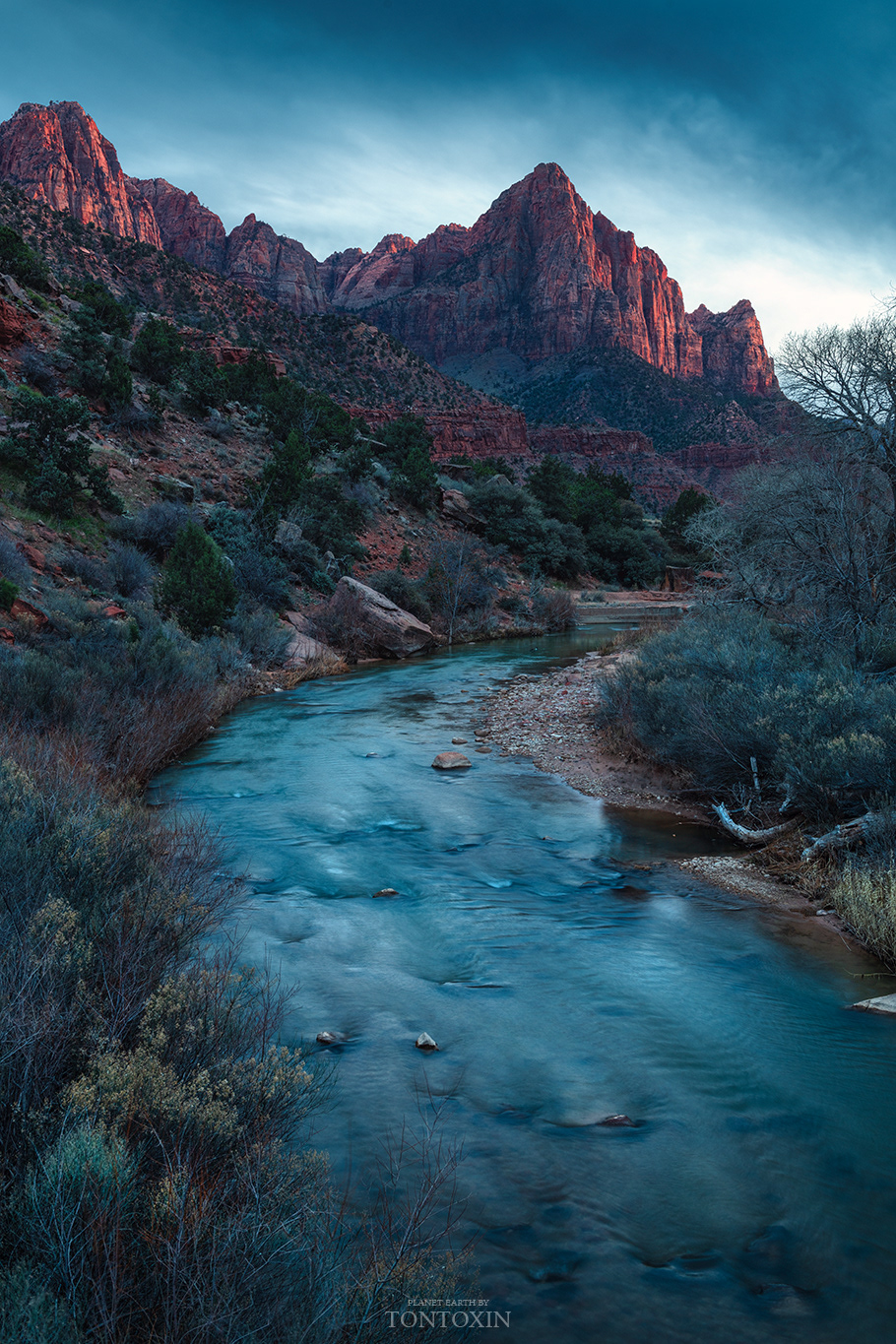 The Zion's Watchman