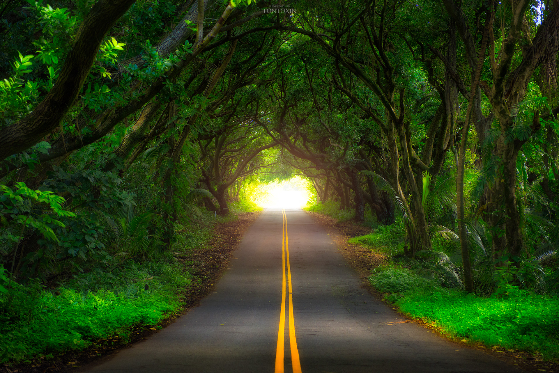 Into the light