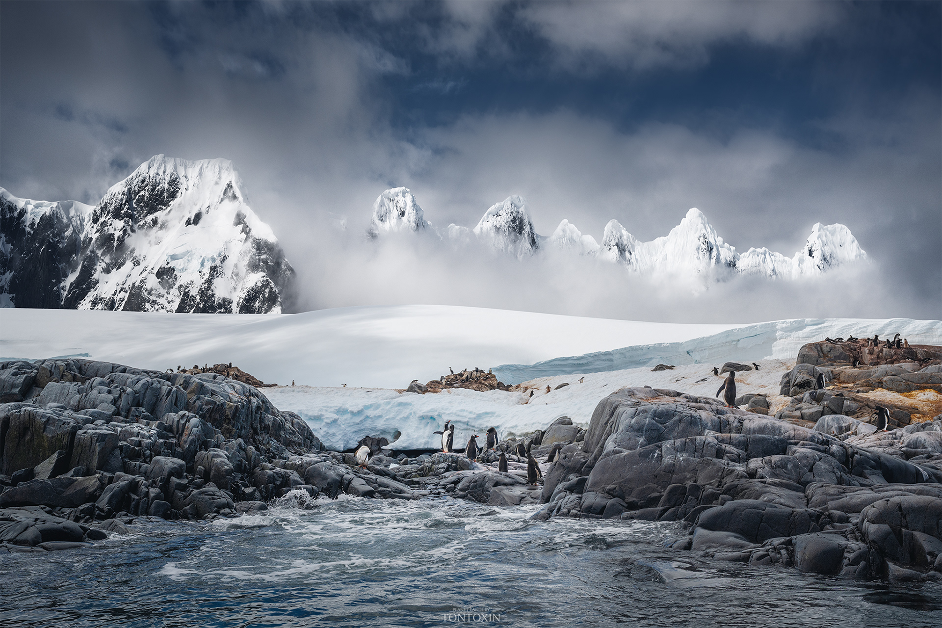 Antarctic Seven Dwarfs