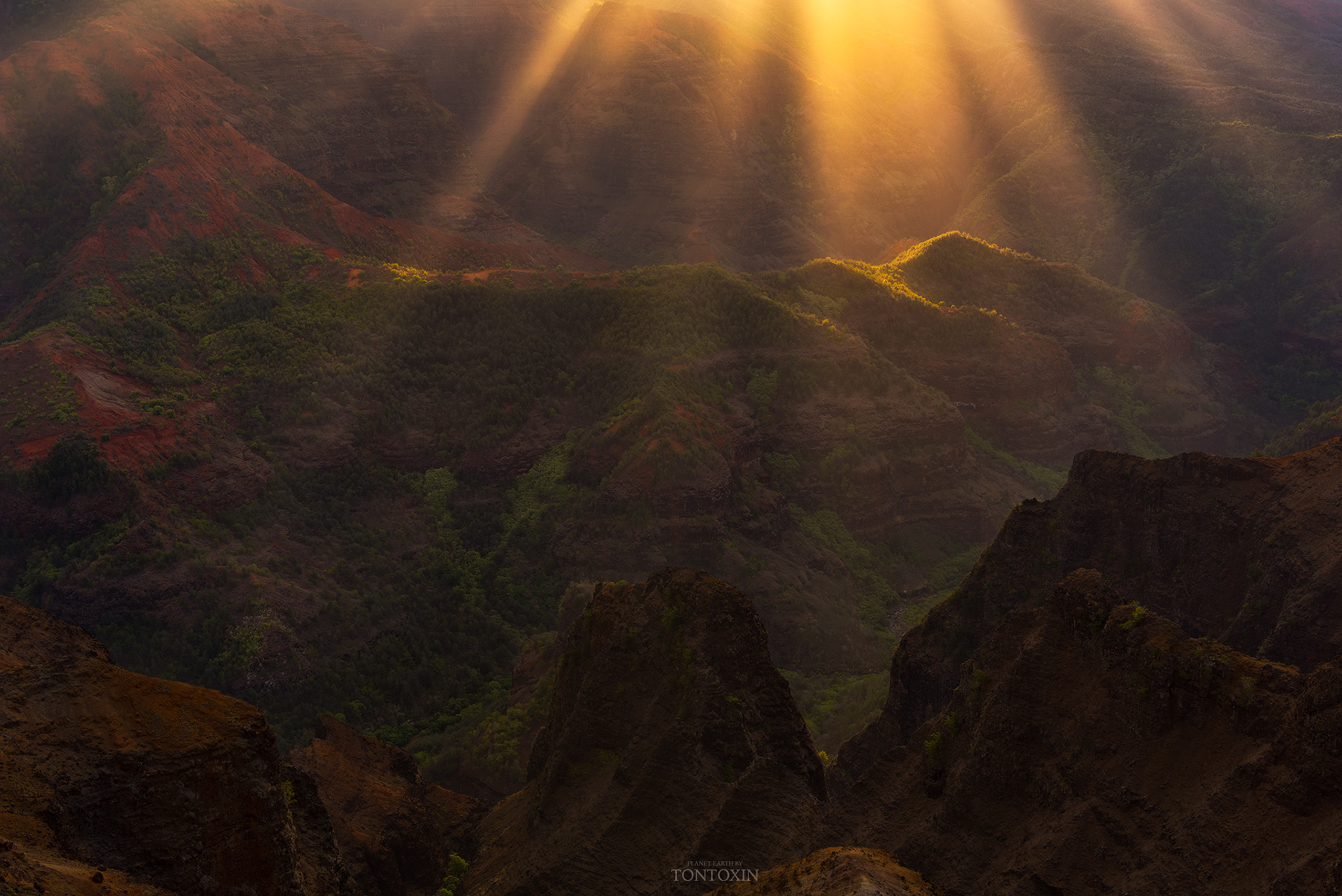Waimea paradise