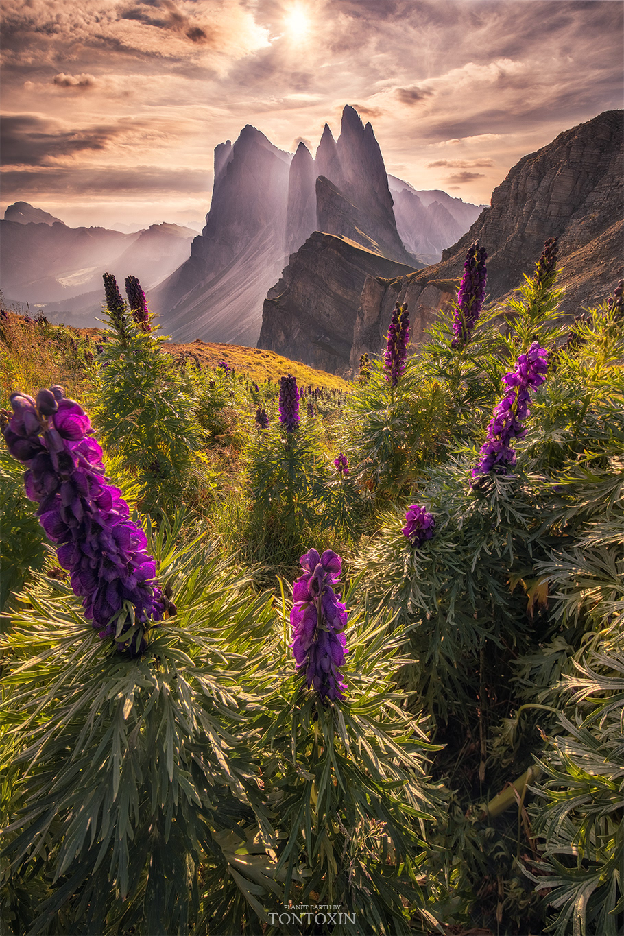 Legenda di Seceda