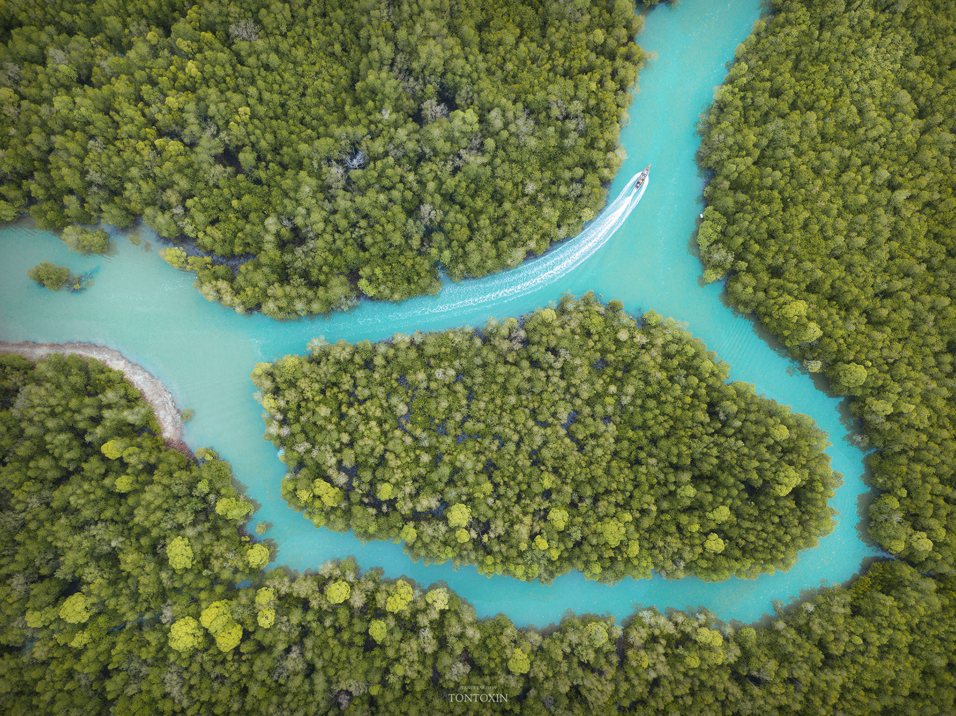 Delta Plain's Cruise