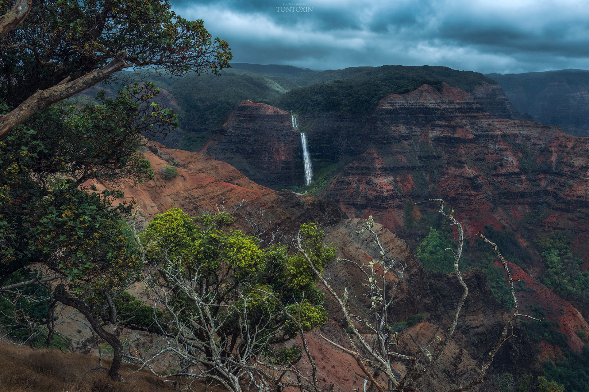 Canyon Scene