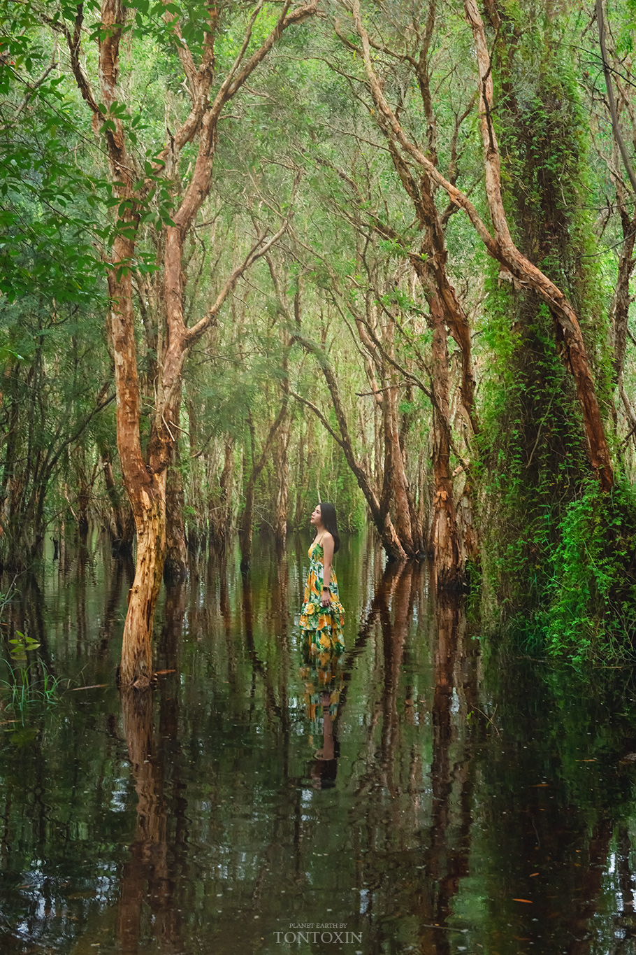 Wetland Wonderland