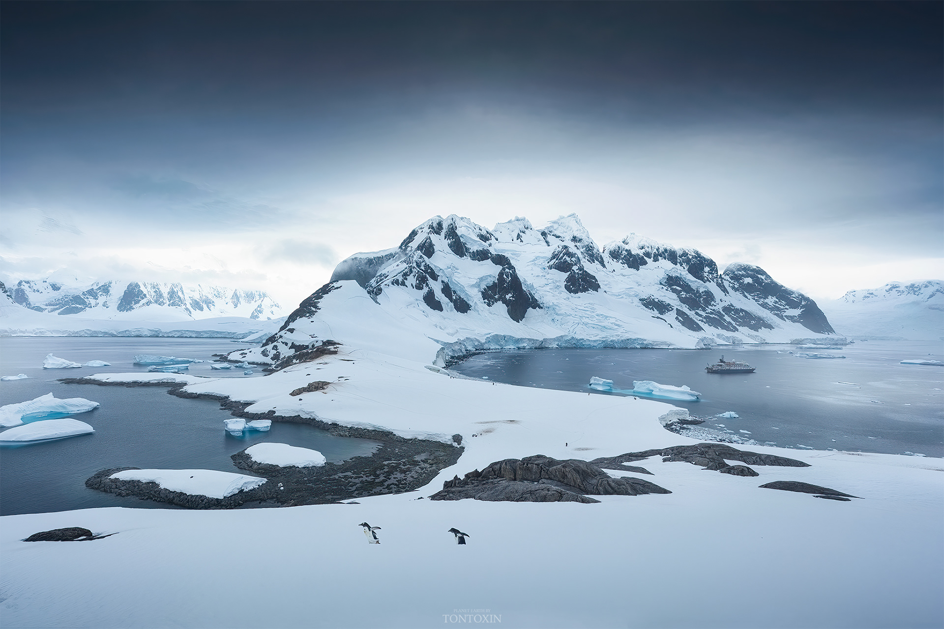 Penguin's Playground