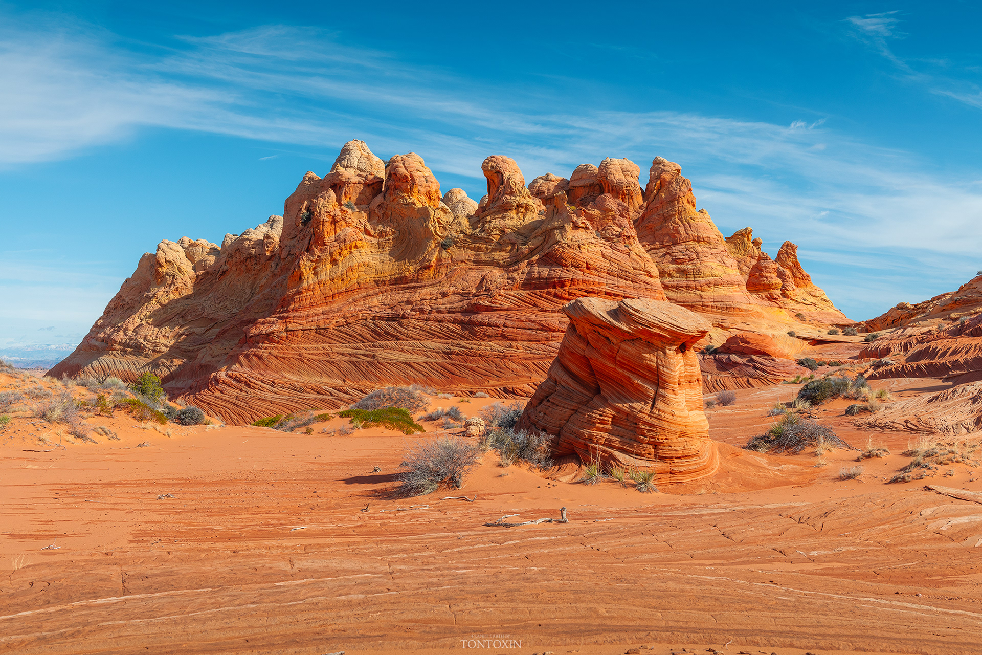 The Sandstone Citadel