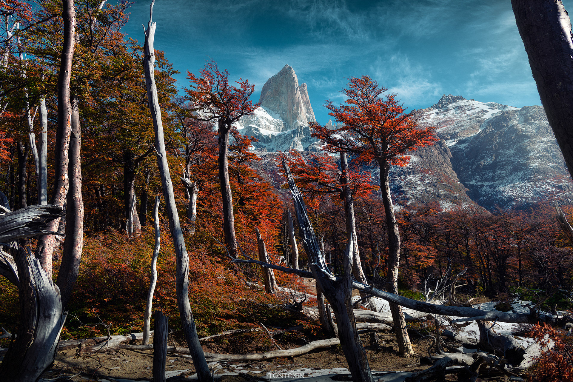 Tales of mountain and forest