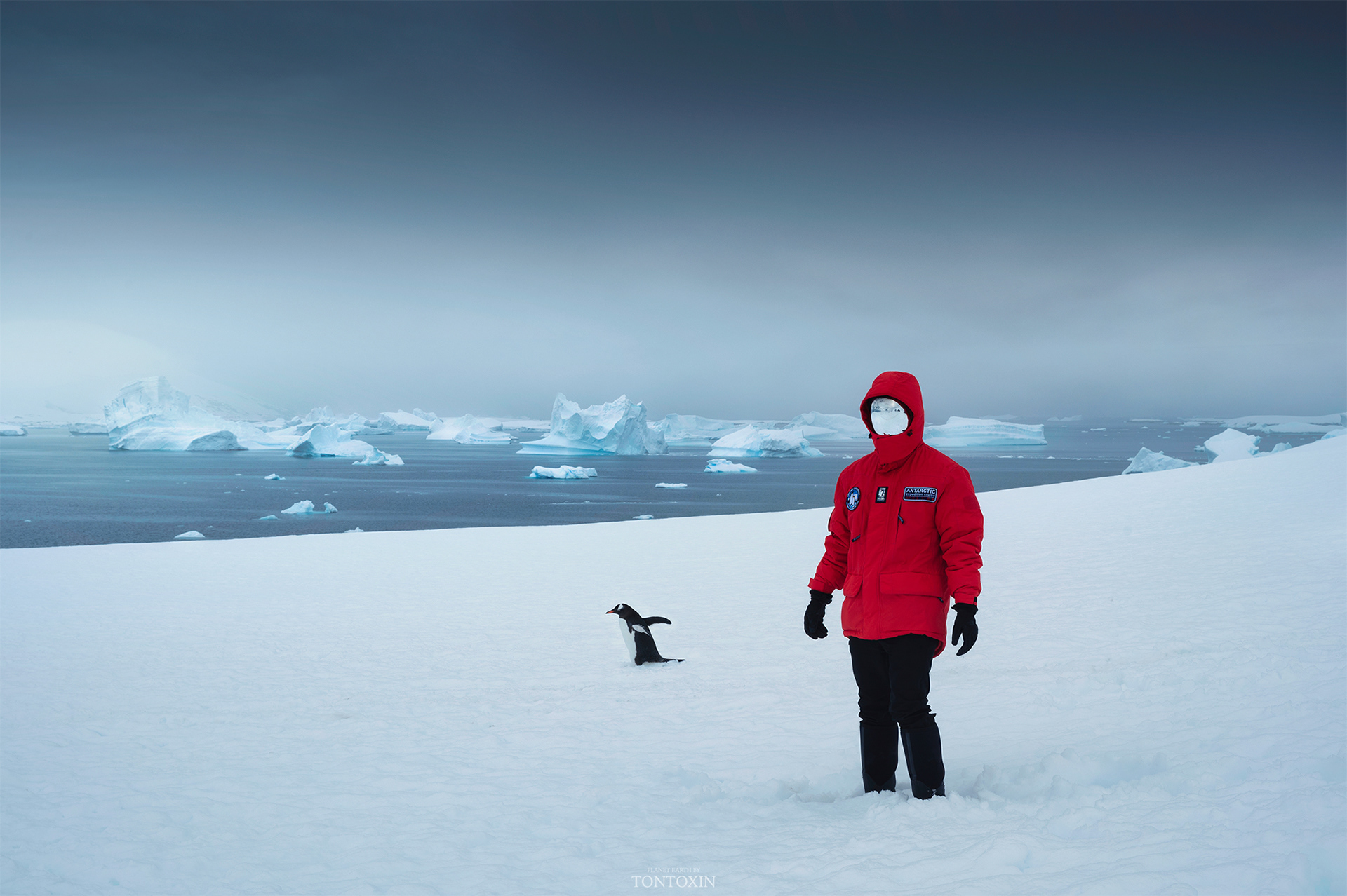 Lost in Antarctica