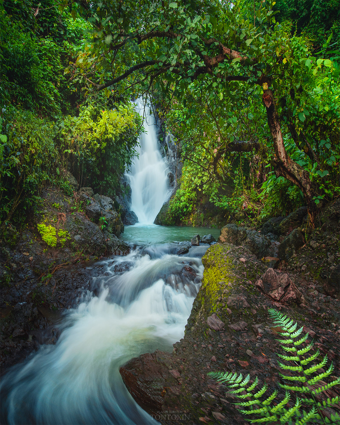 Bluish Cascade