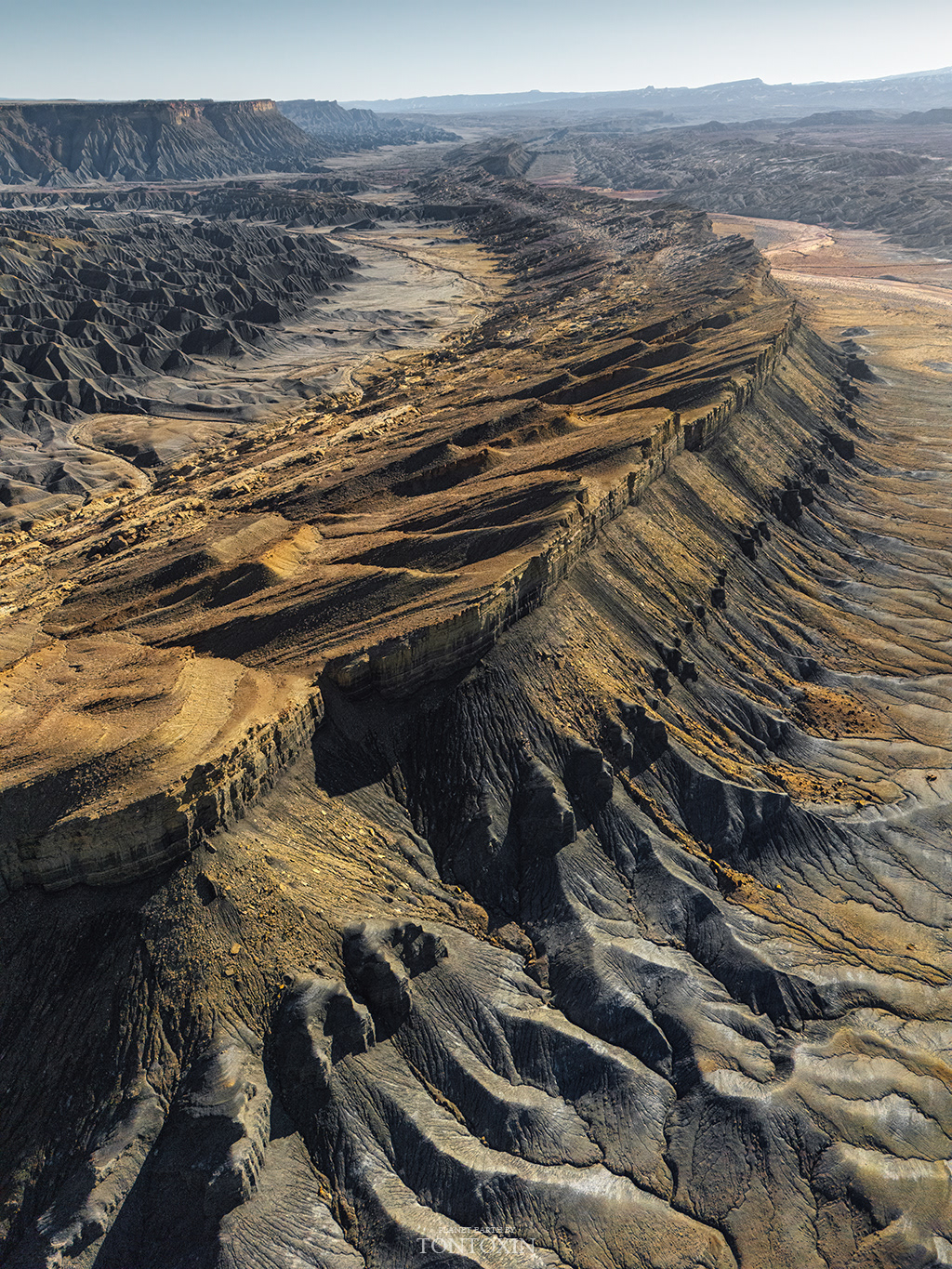 Syncline Limb