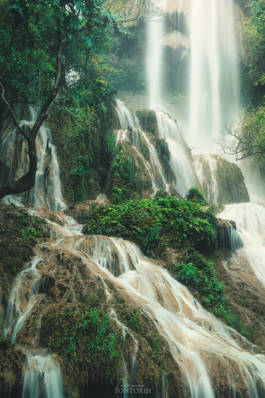 Beyond the lush