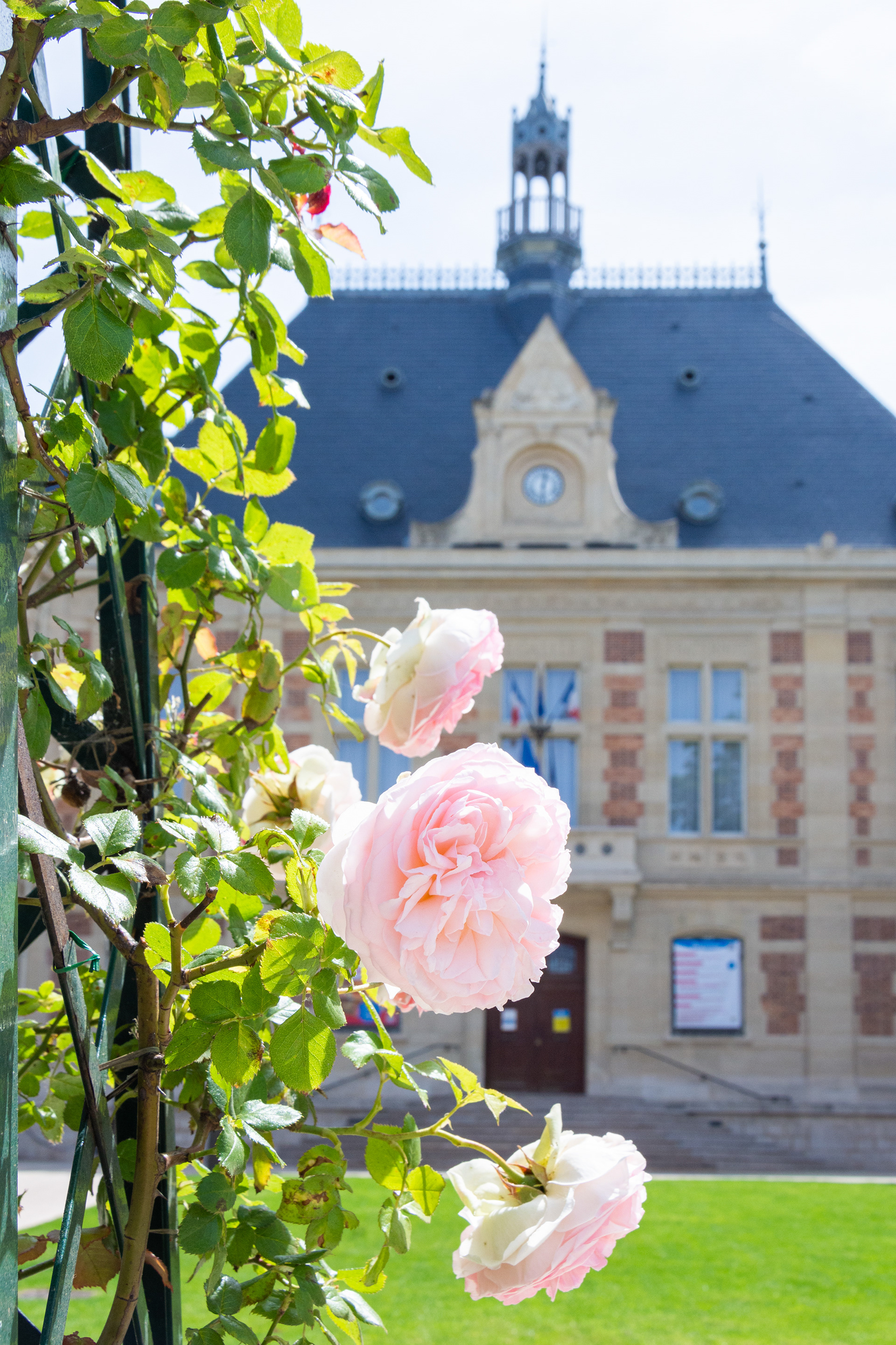S & J, Mairie de Montrouge ©Camille Guillerm