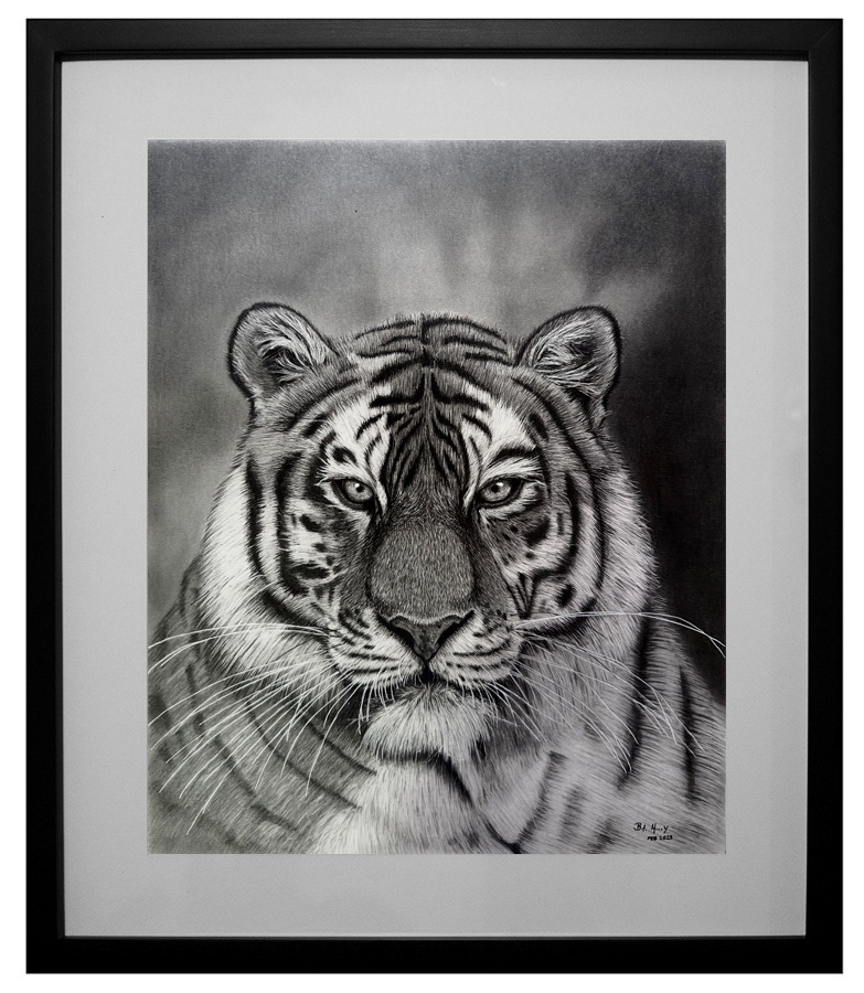 Dibujo Tigre, medidas del cuadro 47x55cm DISPONIBLE