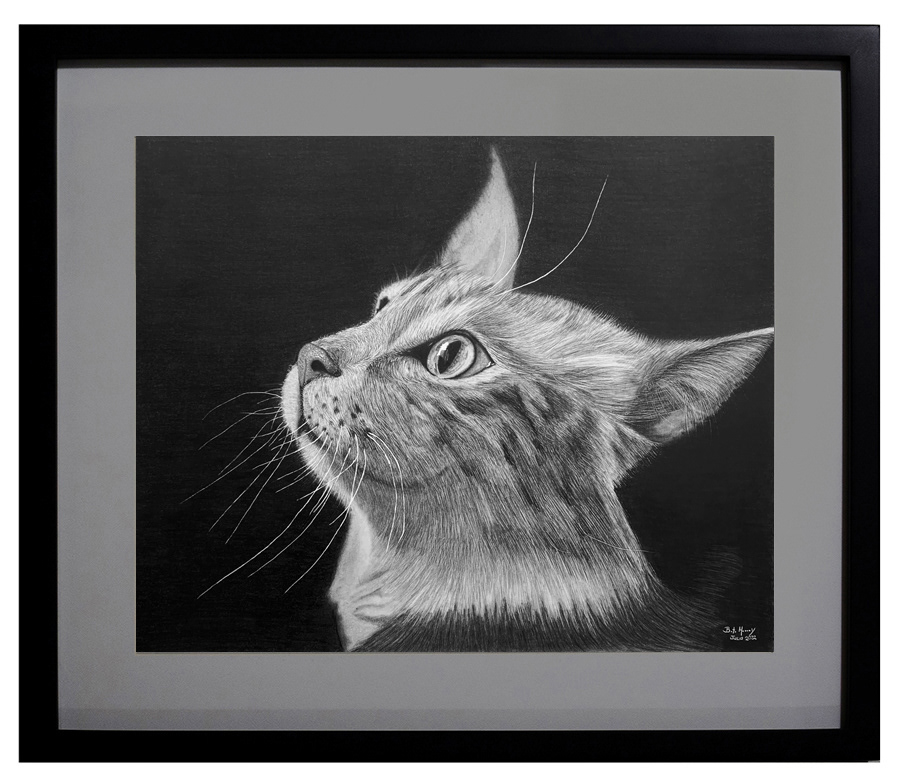 Dibujo gato, medidas del cuadro 47x55cm VENDIDO