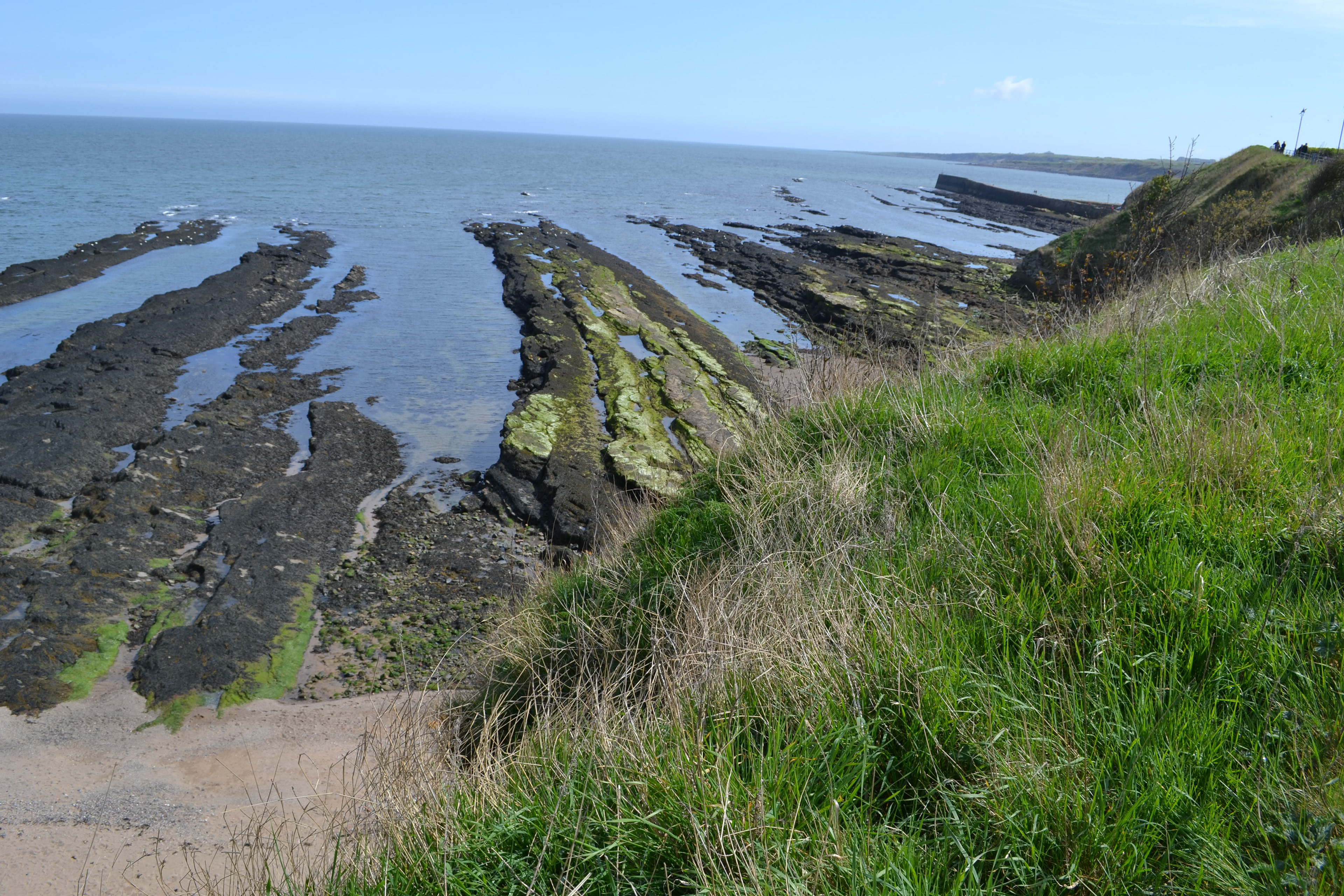 Shores of St. Andrews
