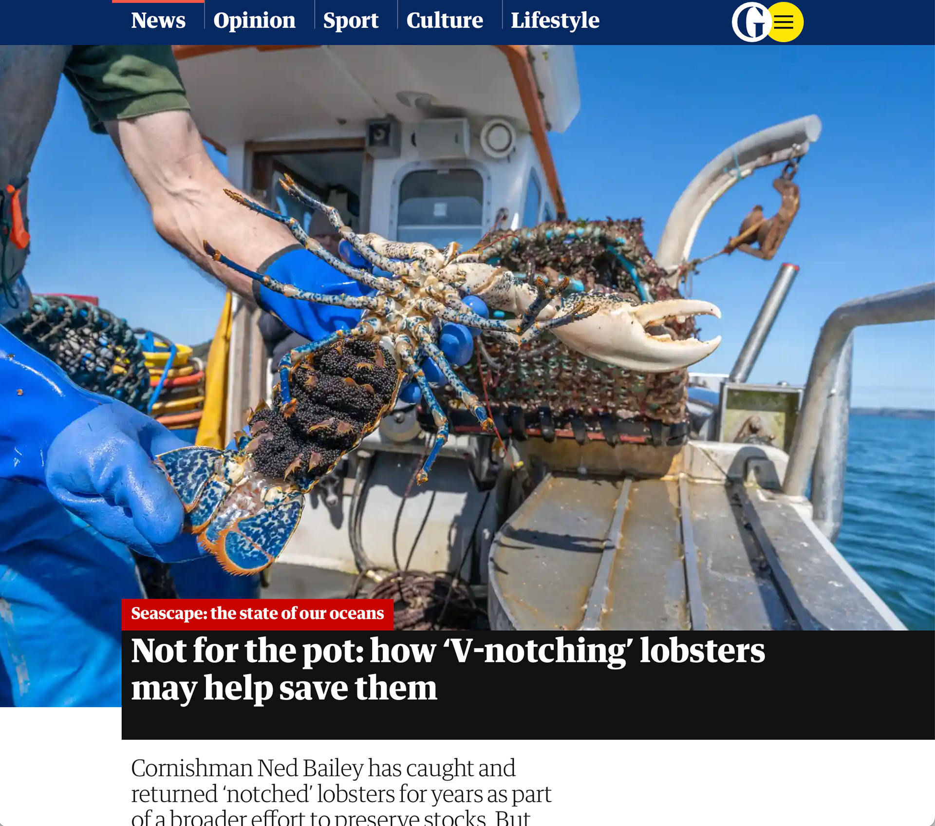 Guardian Seascapes feature