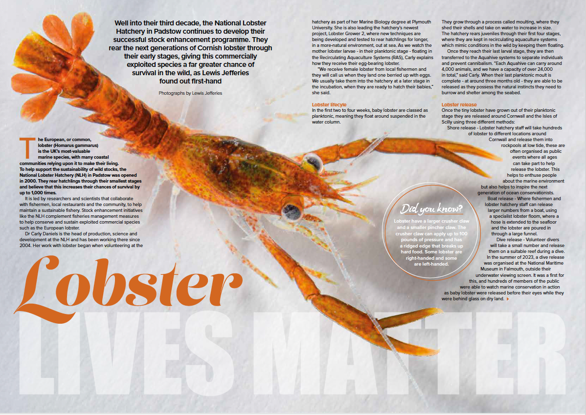 Scuba Diver Magazine