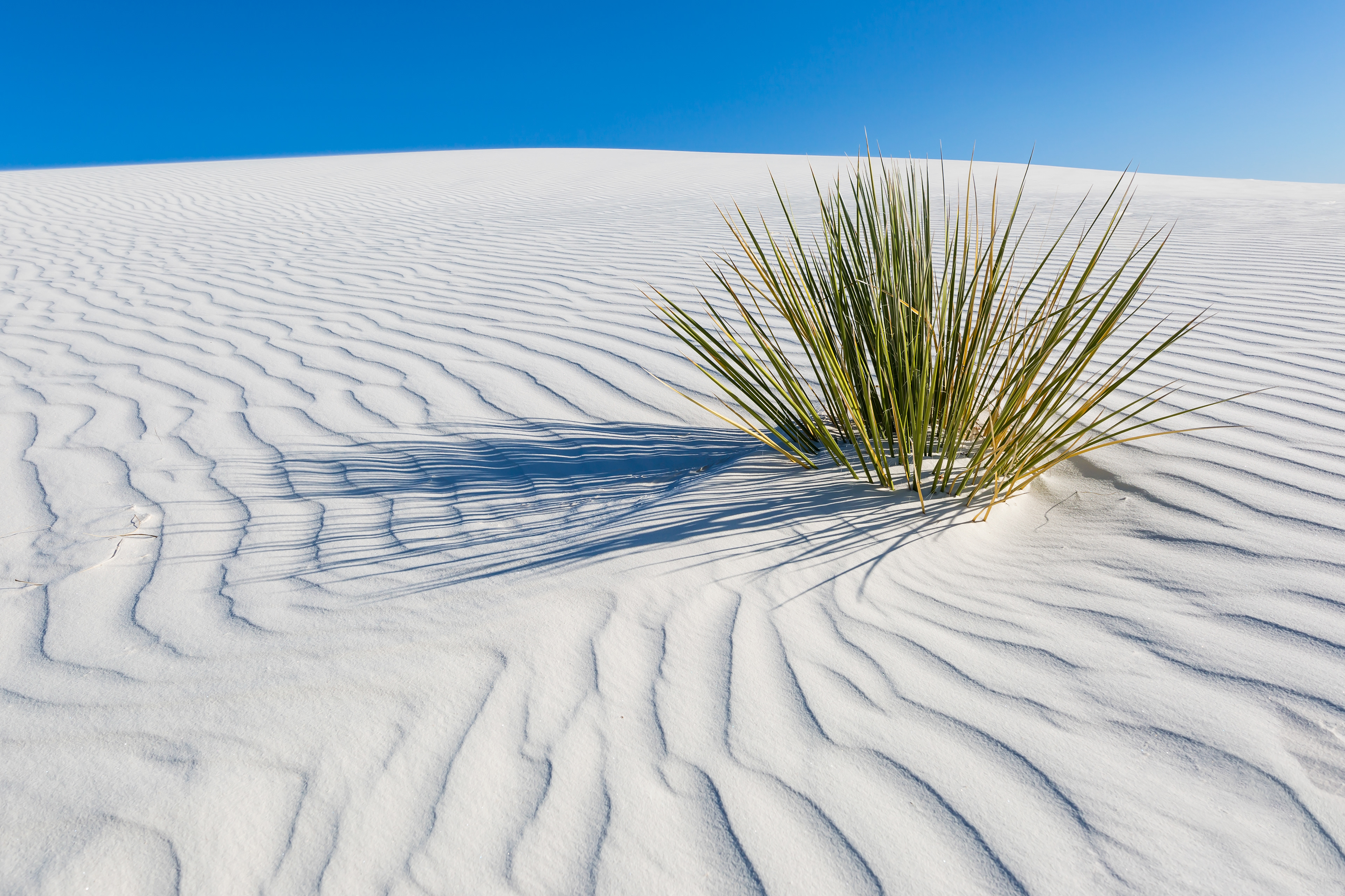 LS009_WHITE SANDS Idyllic scenery
