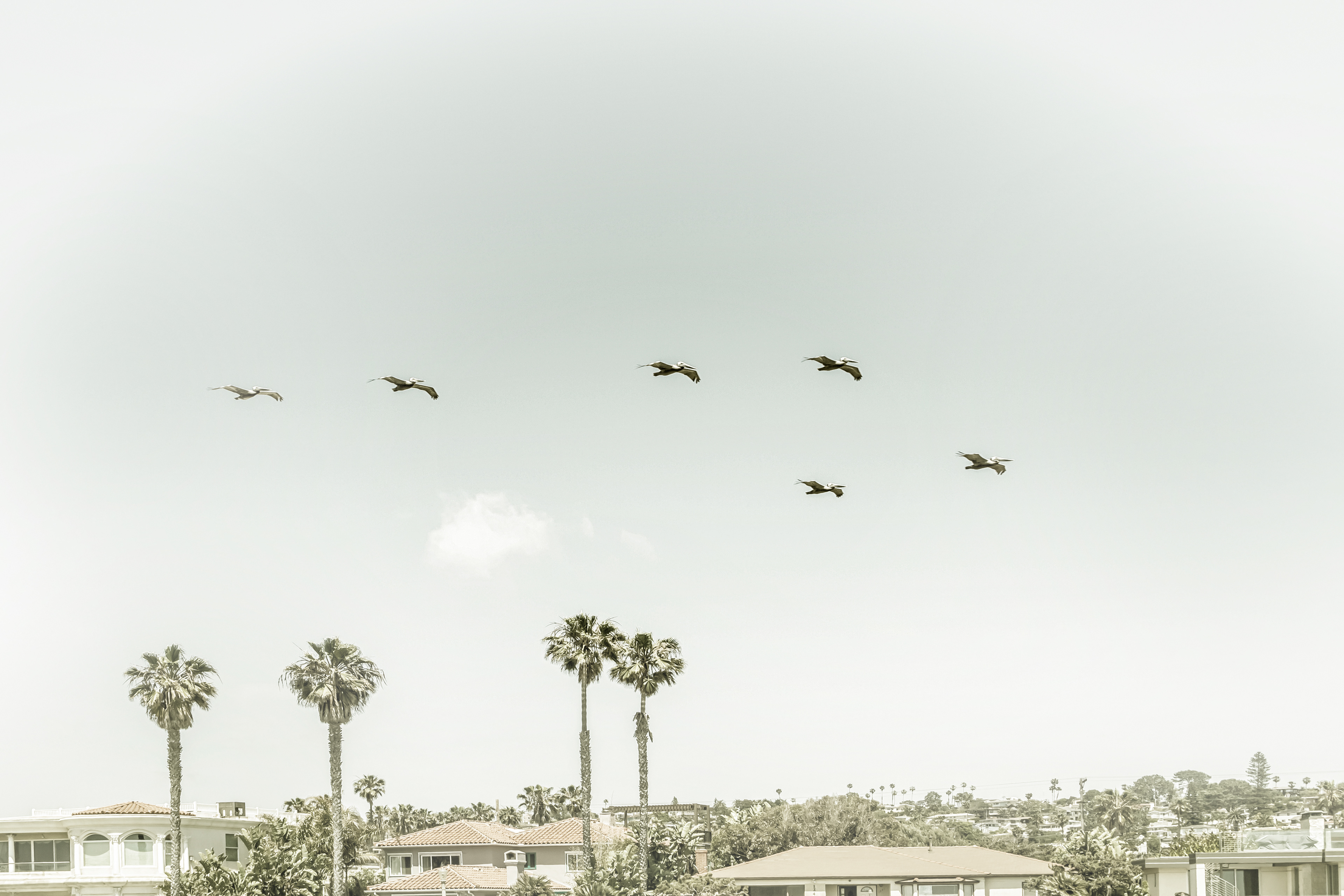 VS026_Above the rooftops of San Diego | Vintage