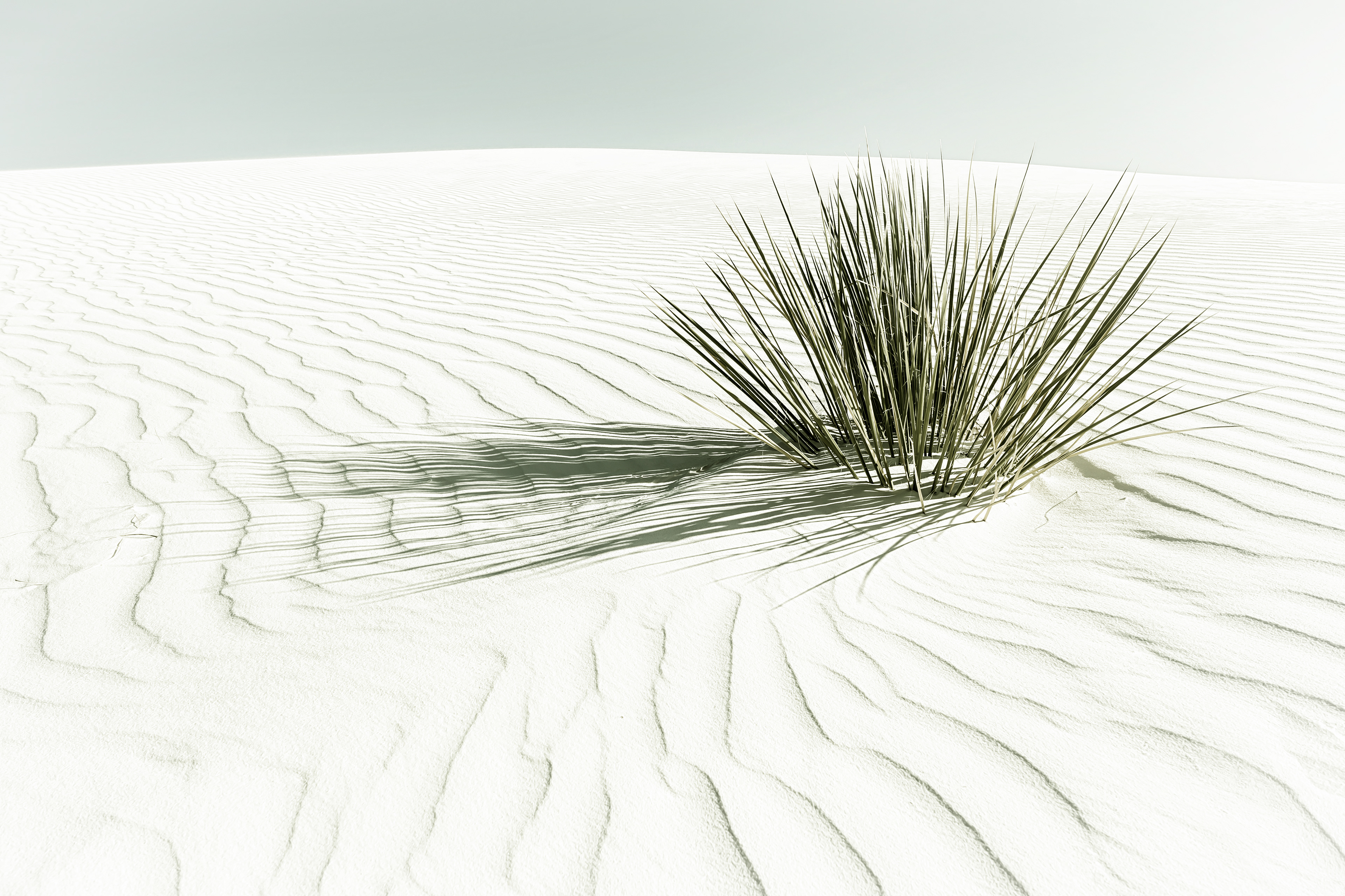 VS015_WHITE SANDS Dune | Vintage