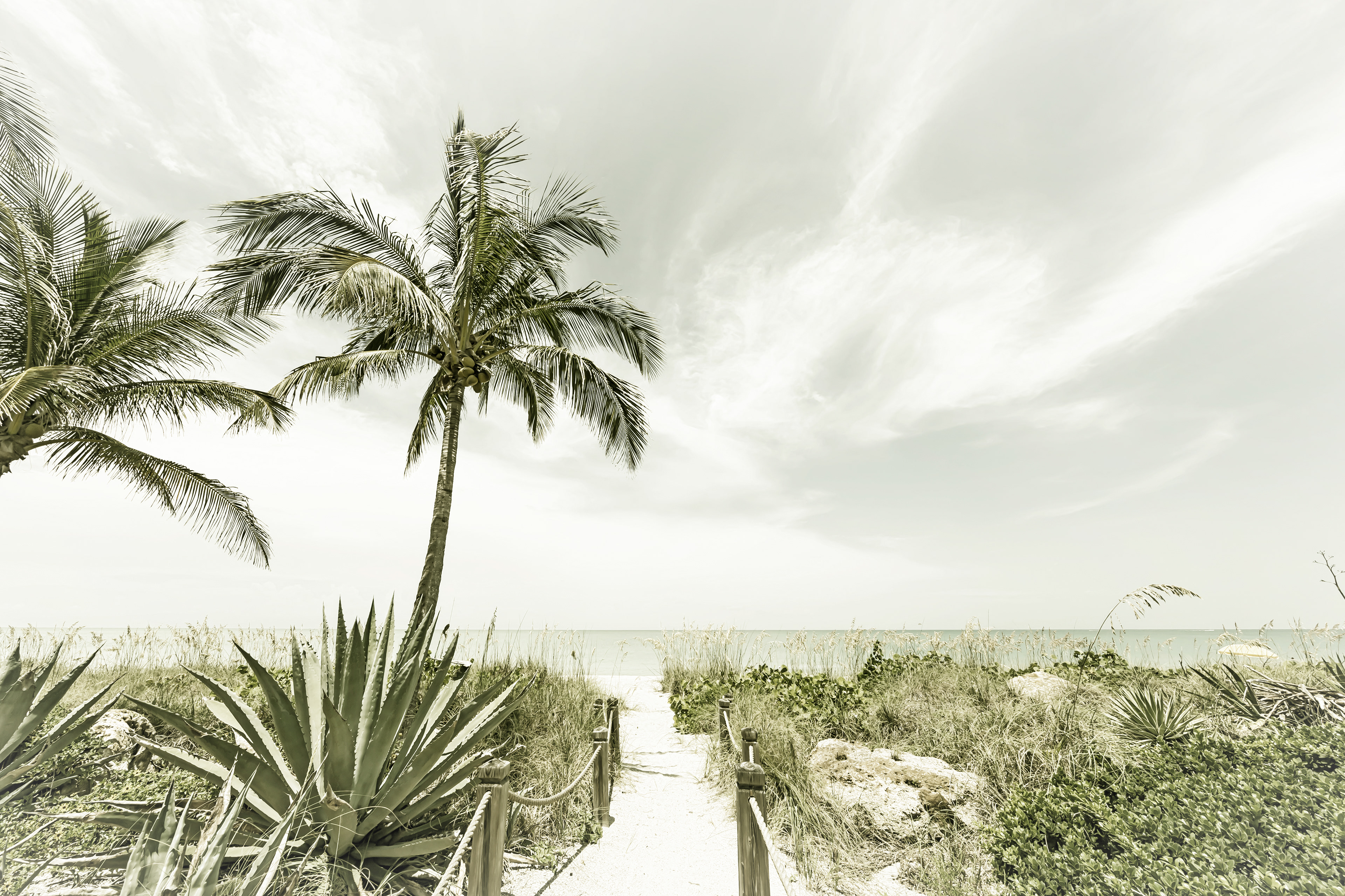 VS034_Alone at the beach | Vintage