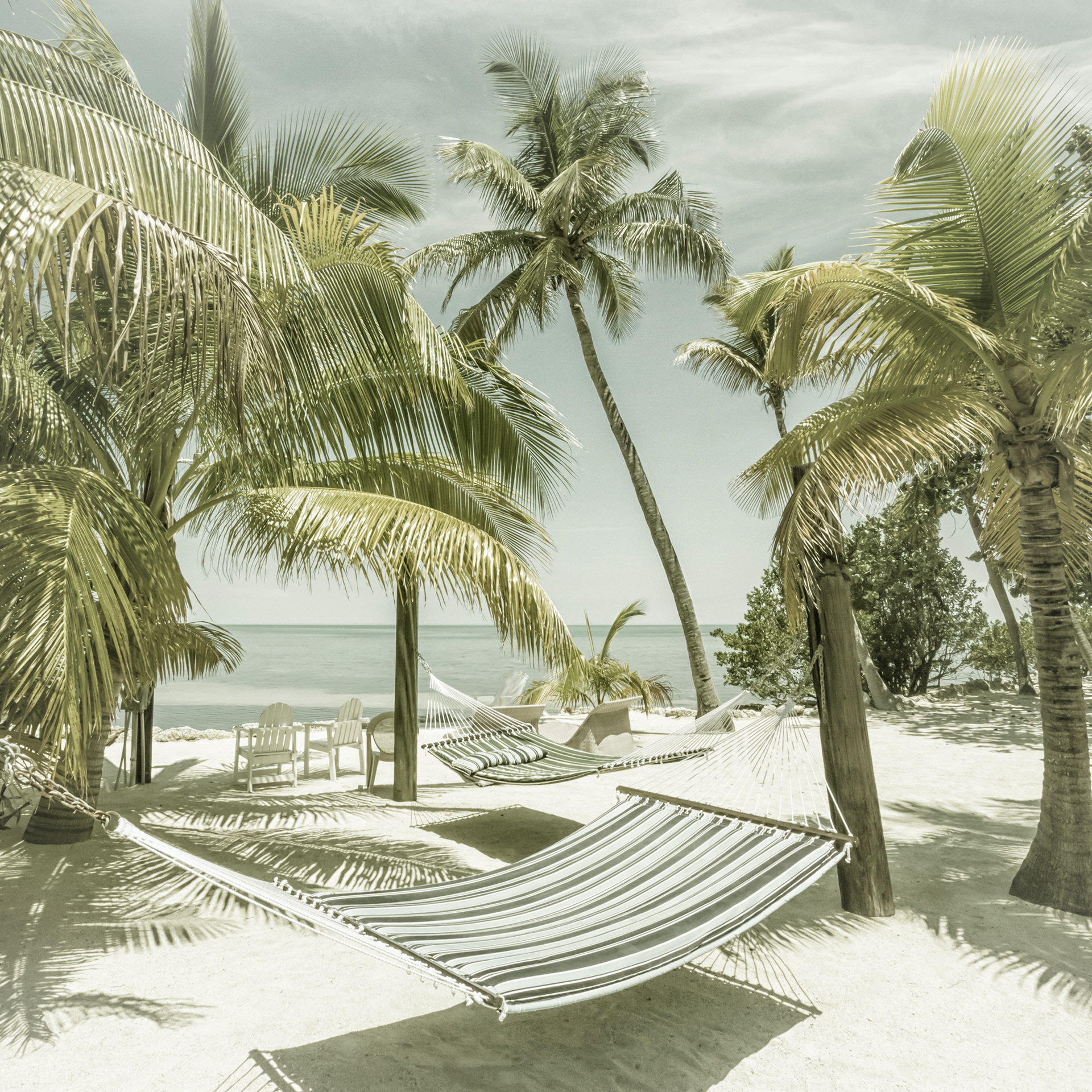 VS031_FLORIDA Heavenly Place | Vintage