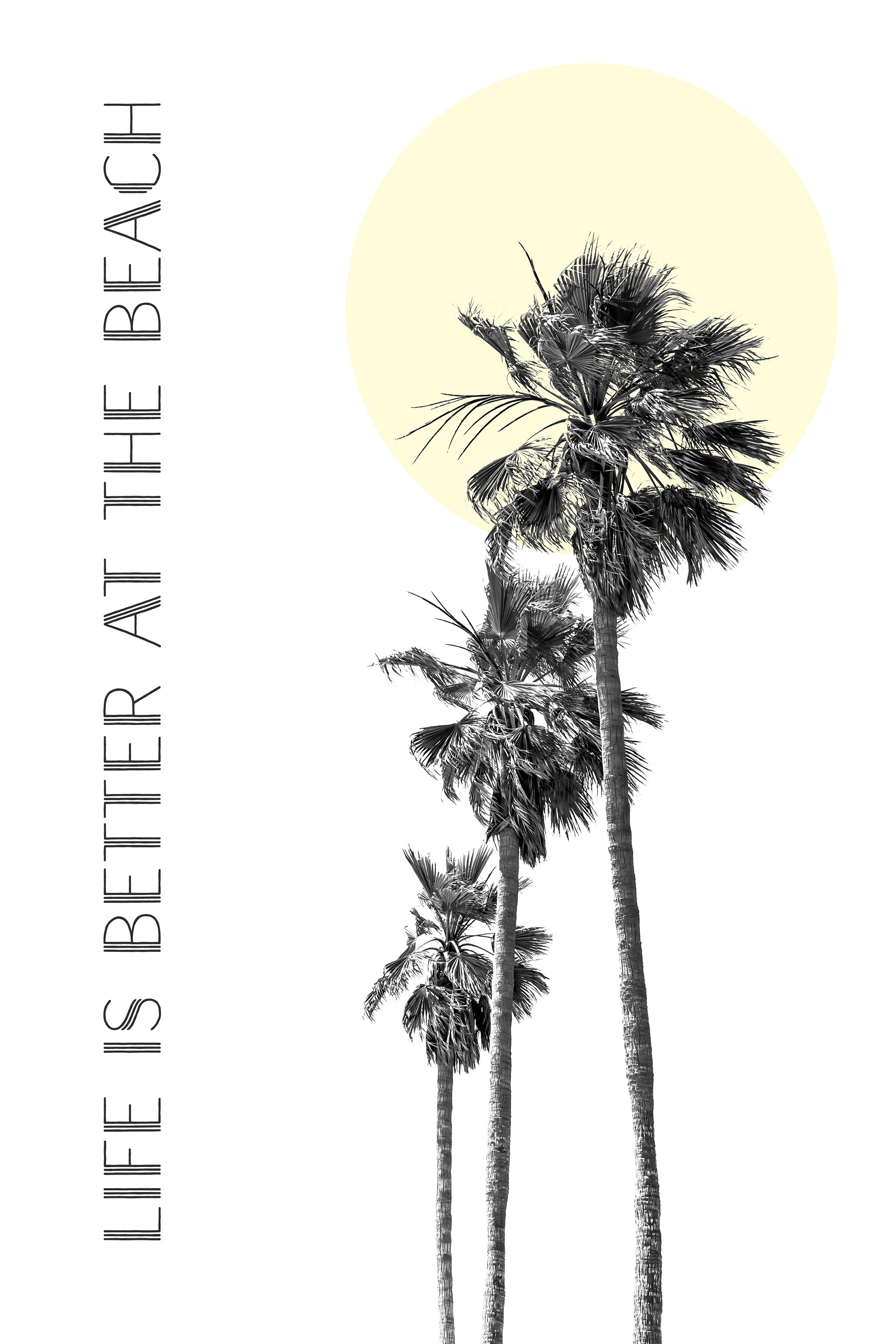 MT034_Life is better at the beach | palm trees