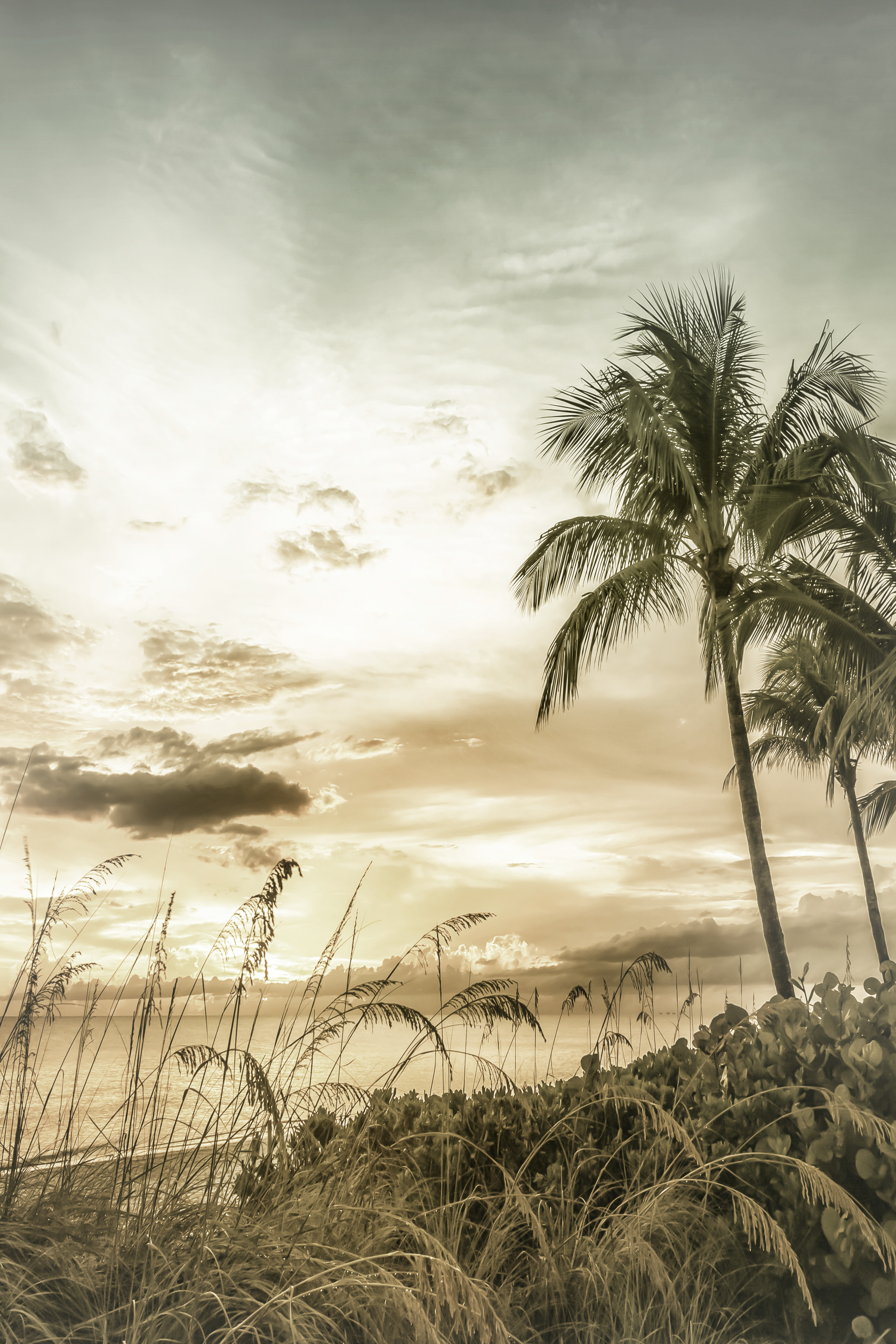 VS010_BONITA BEACH Bright Sunset | Vintage