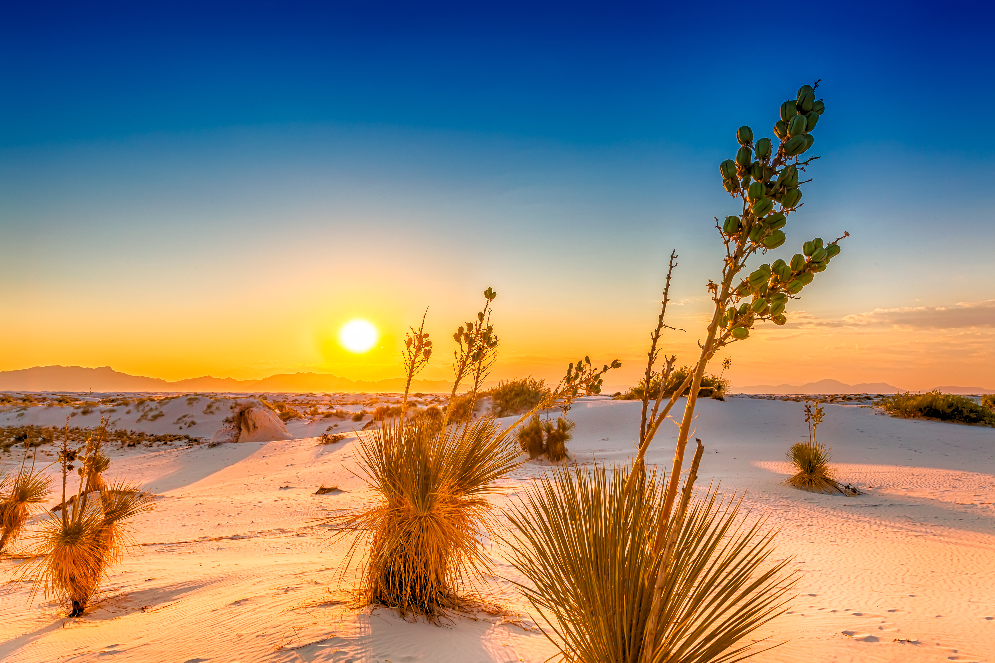 LS006_White Sands Sunset