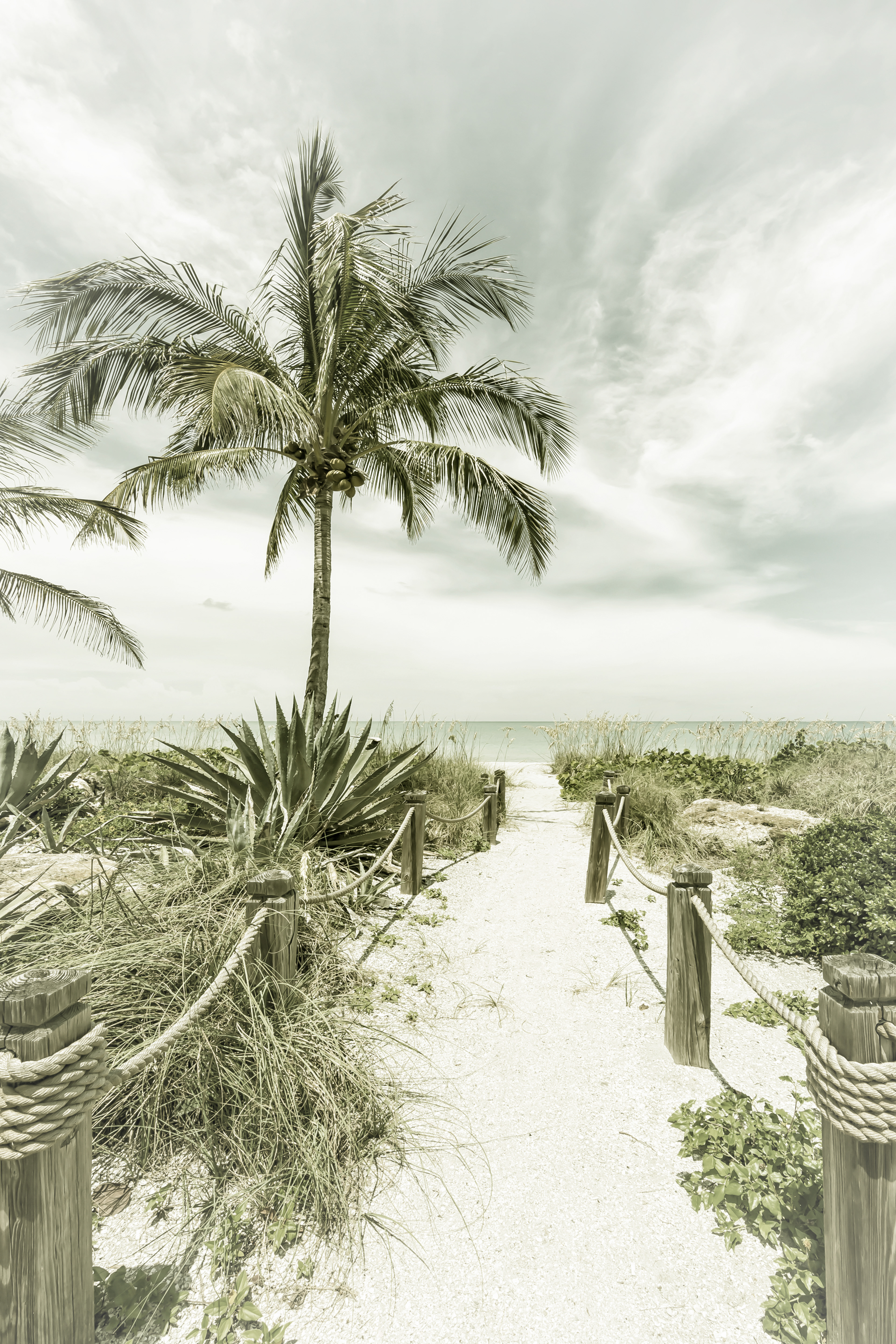 VS016_Path to the beach | Vintage
