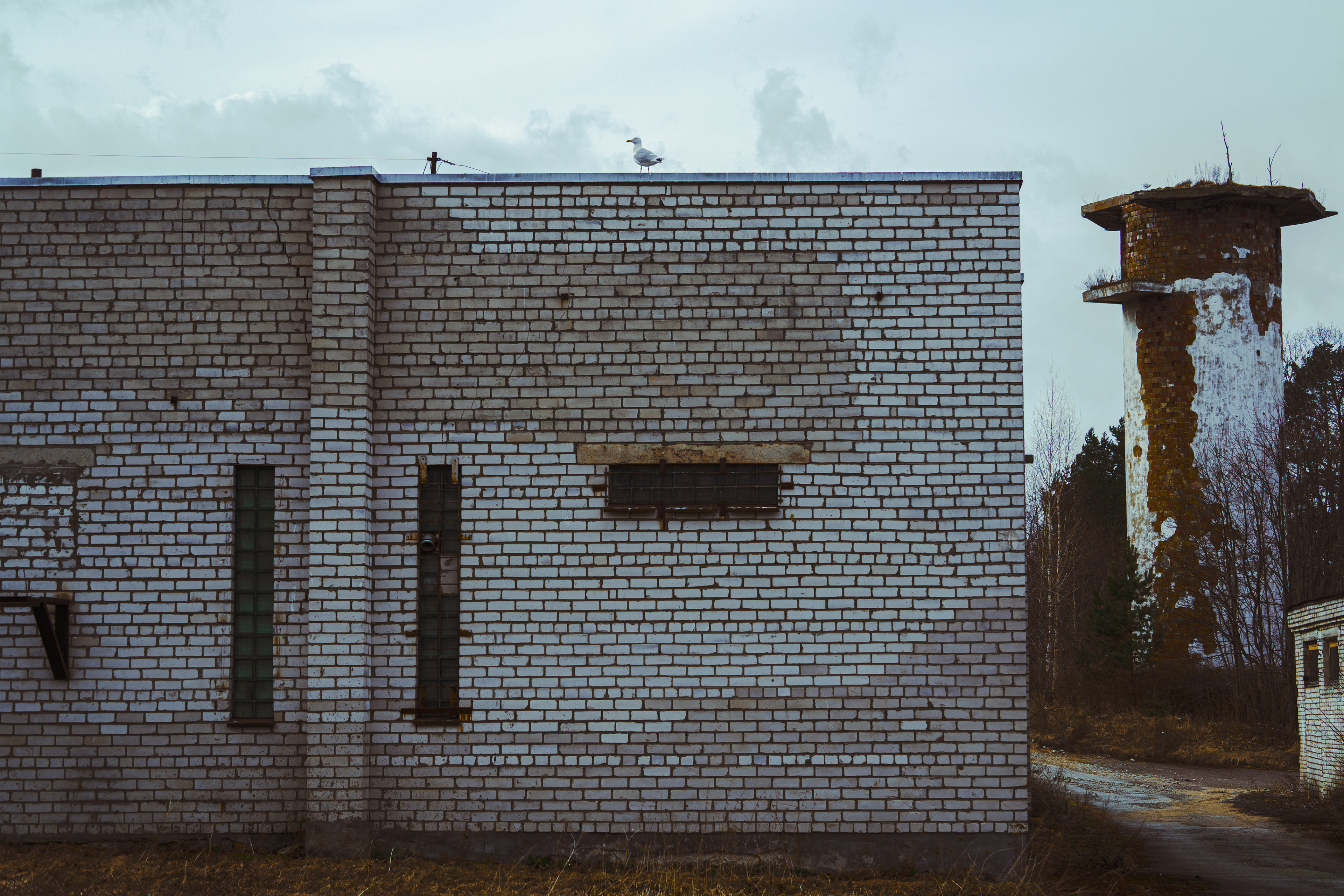04_NEST