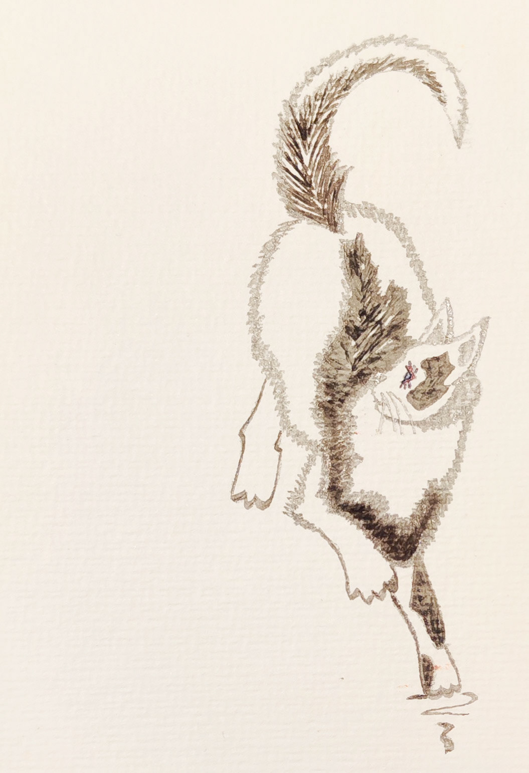 Cat on postcard sent to my niece, Finland 2023; Ink and color pencil.