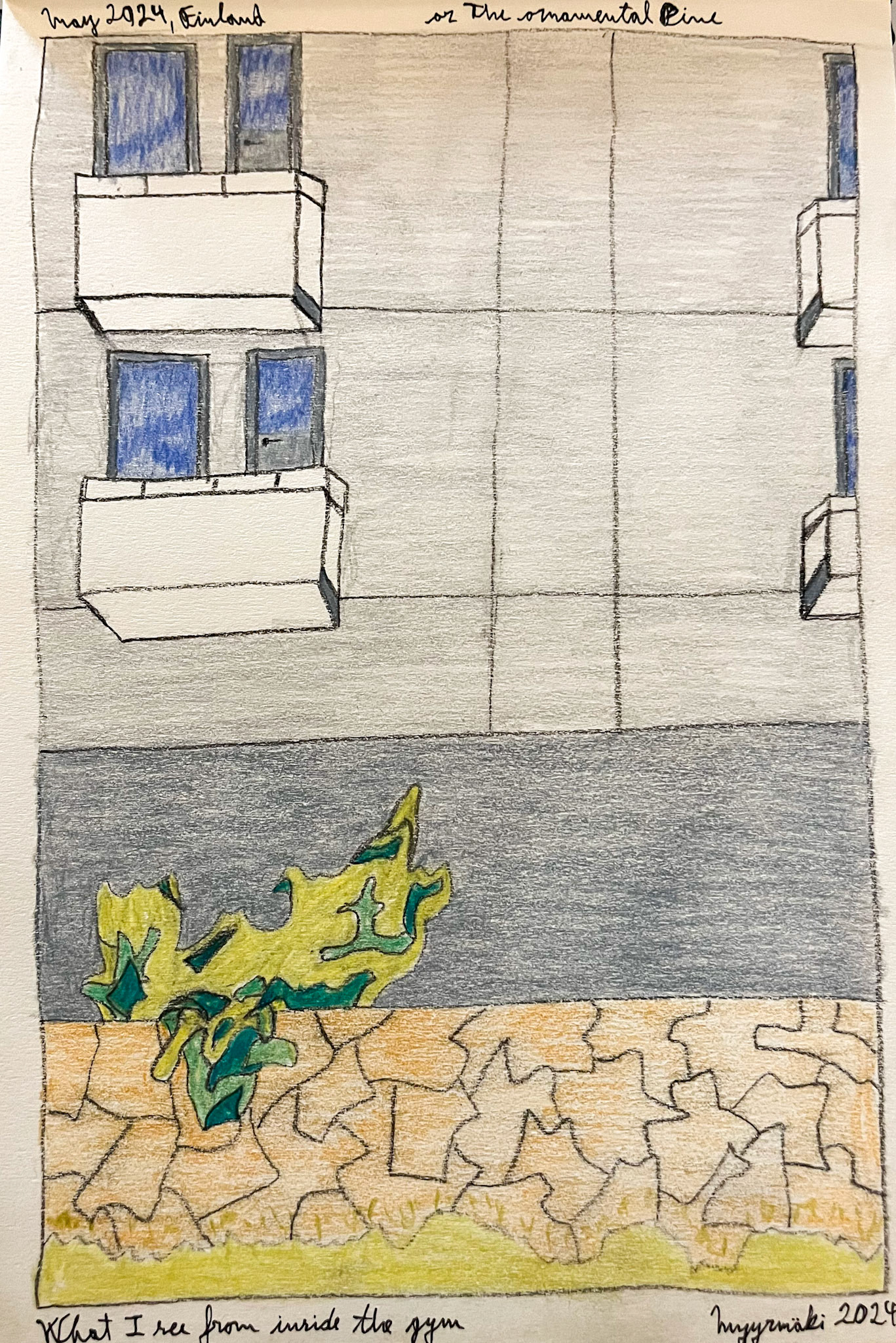 Ornamental pine or What I see through the window in gym, sketch, MyyrmÑki (Finland), summer 2024; Mixed media on paper