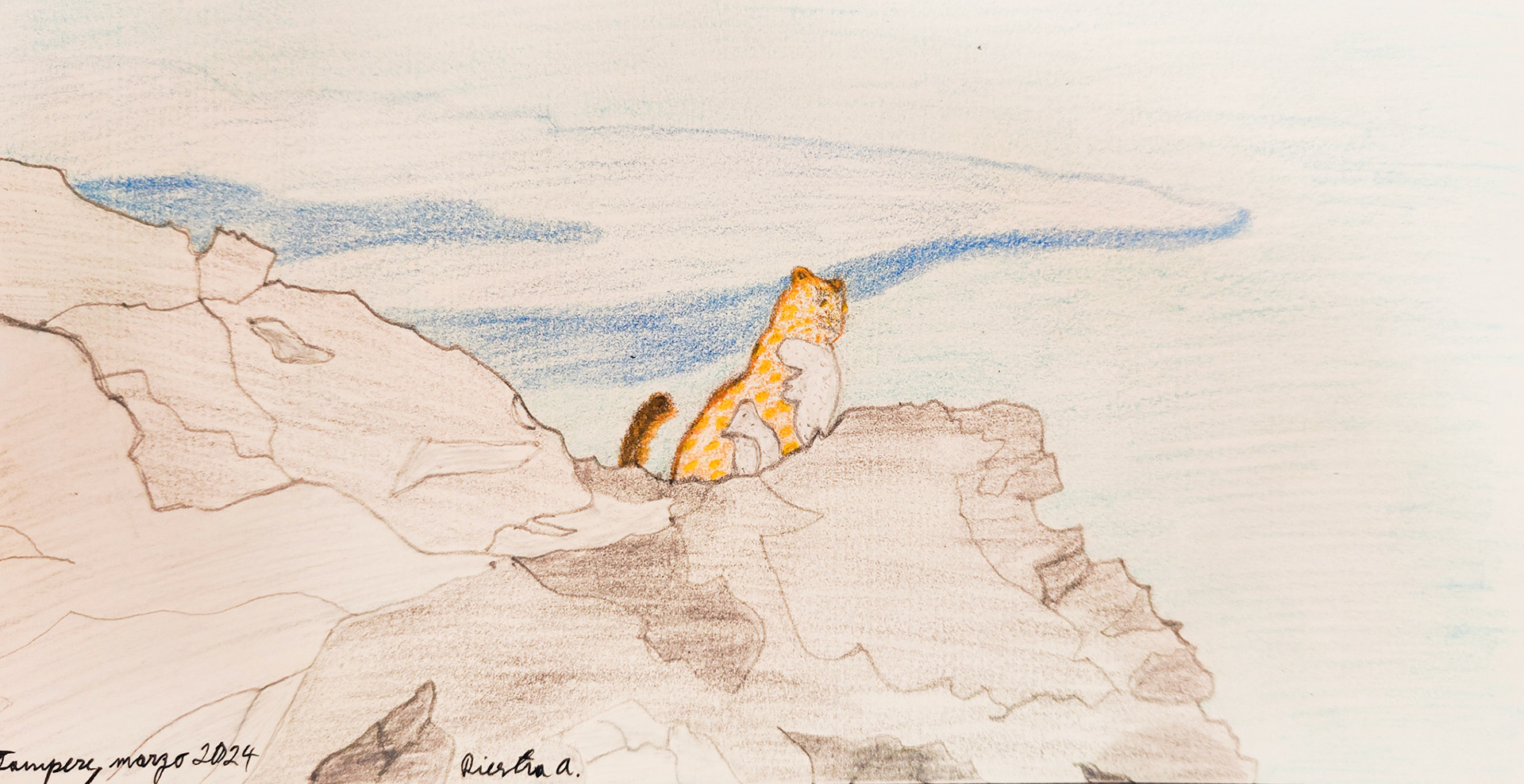 Snow leopard, sketch for Documentary Series, Tampere, Finland 2024; Pencil and color pencil on aquarelle paper