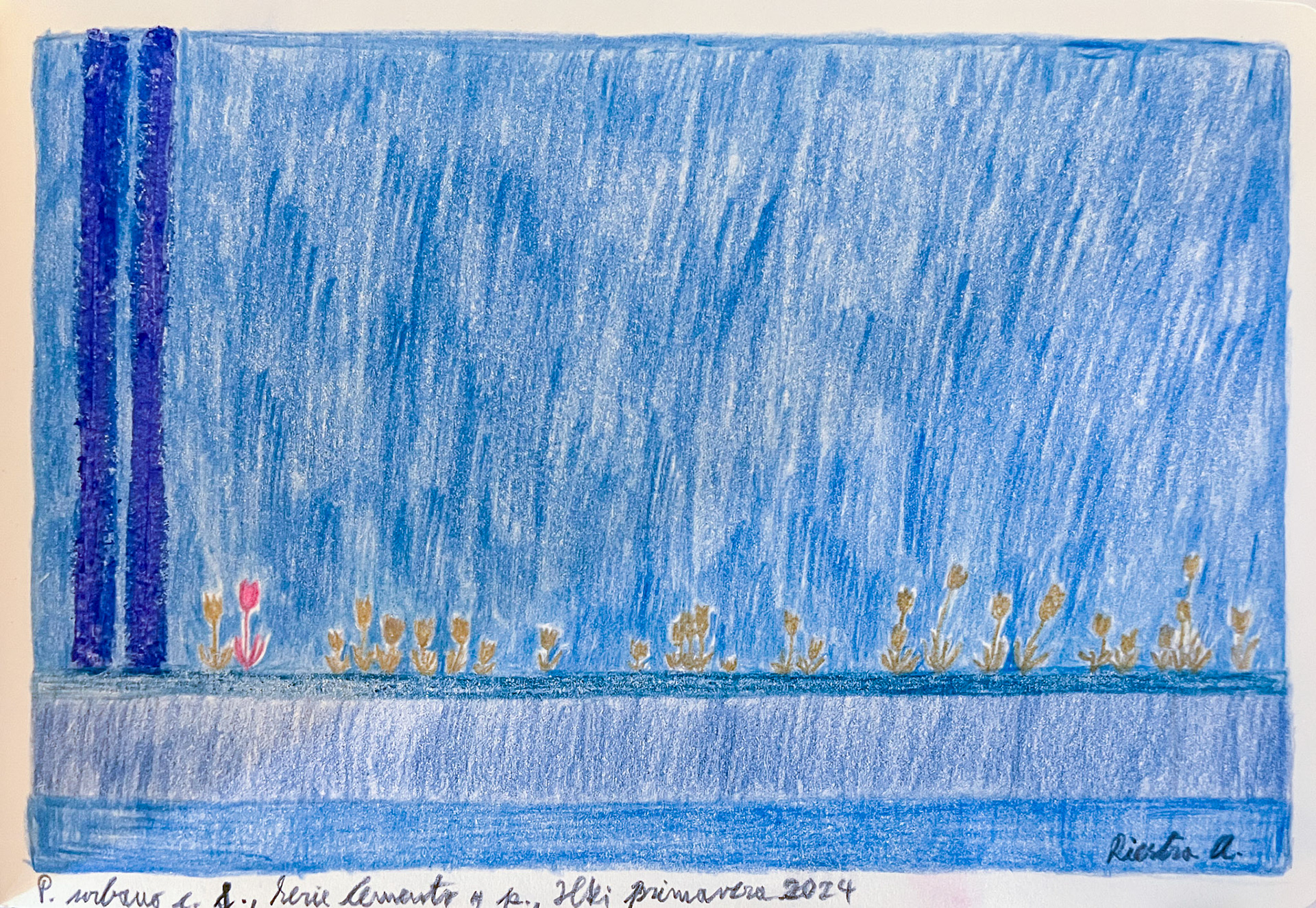 Flower box in the concrete III, drawing, Hki 2024; Mixed media on paper