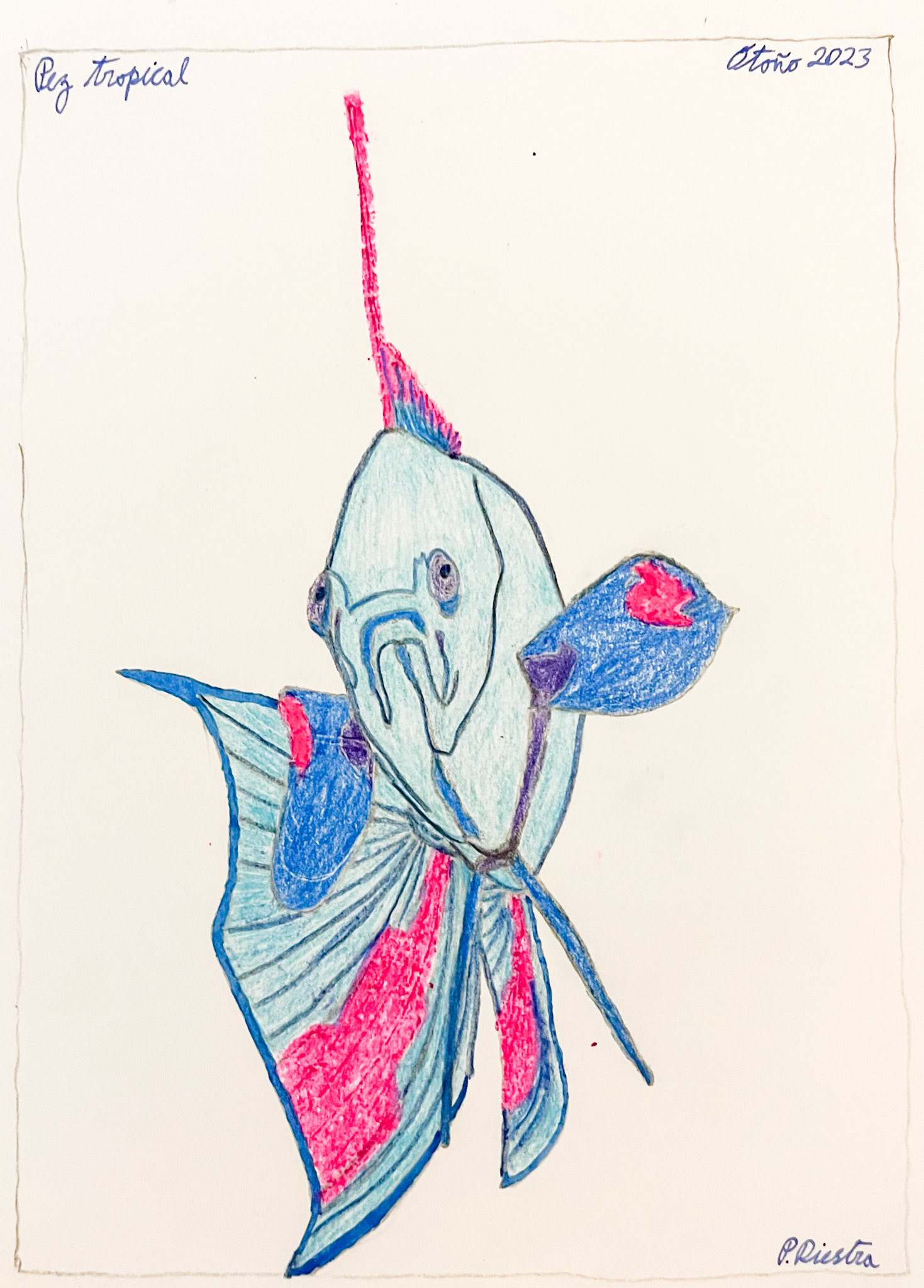 Tropical fish I, drawing, Helsinki 2022-2024 (after a picture on Instagram); Mixed media on aquarelle paper