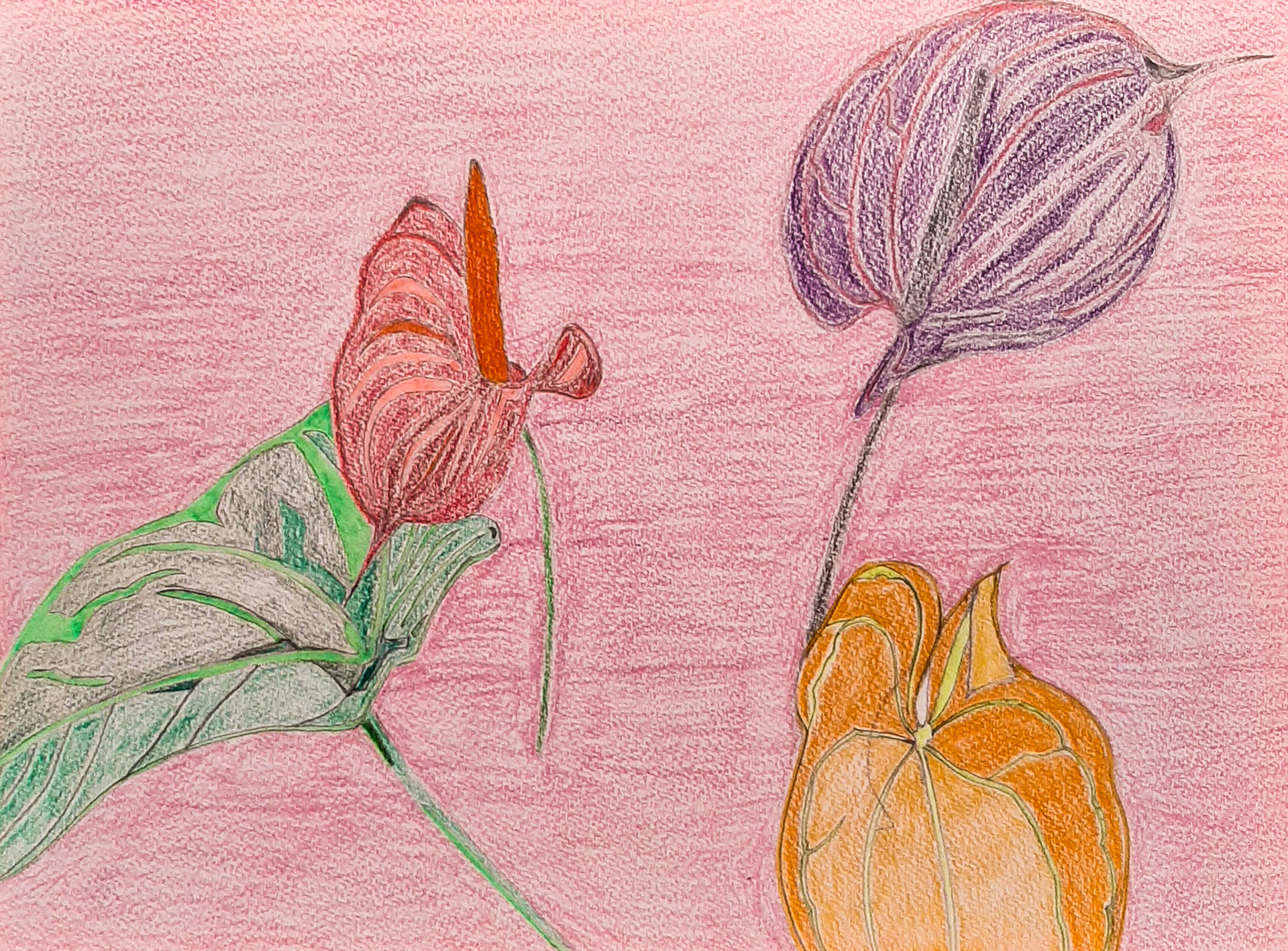 Anthurium I, 2019 Mixed media on aquarelle paper 32x24 cm
