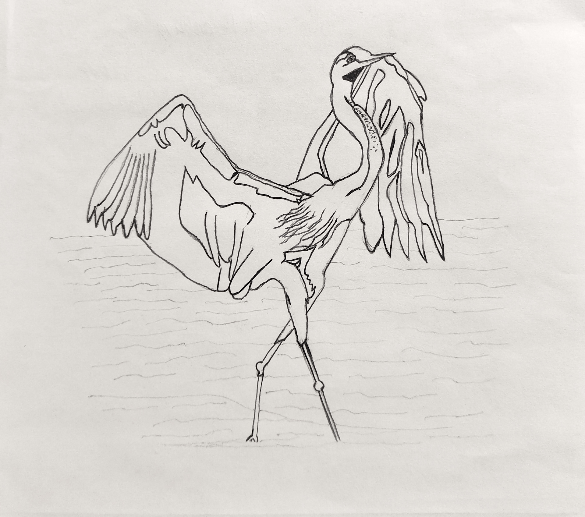 Heron, St. Petersburg, 2018; Pencil and ballpoint pen on paper.