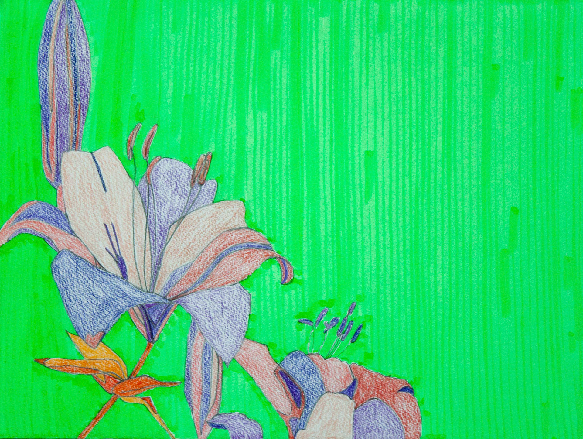 Azucena, 2018; 24x32cm Mixed media on paper