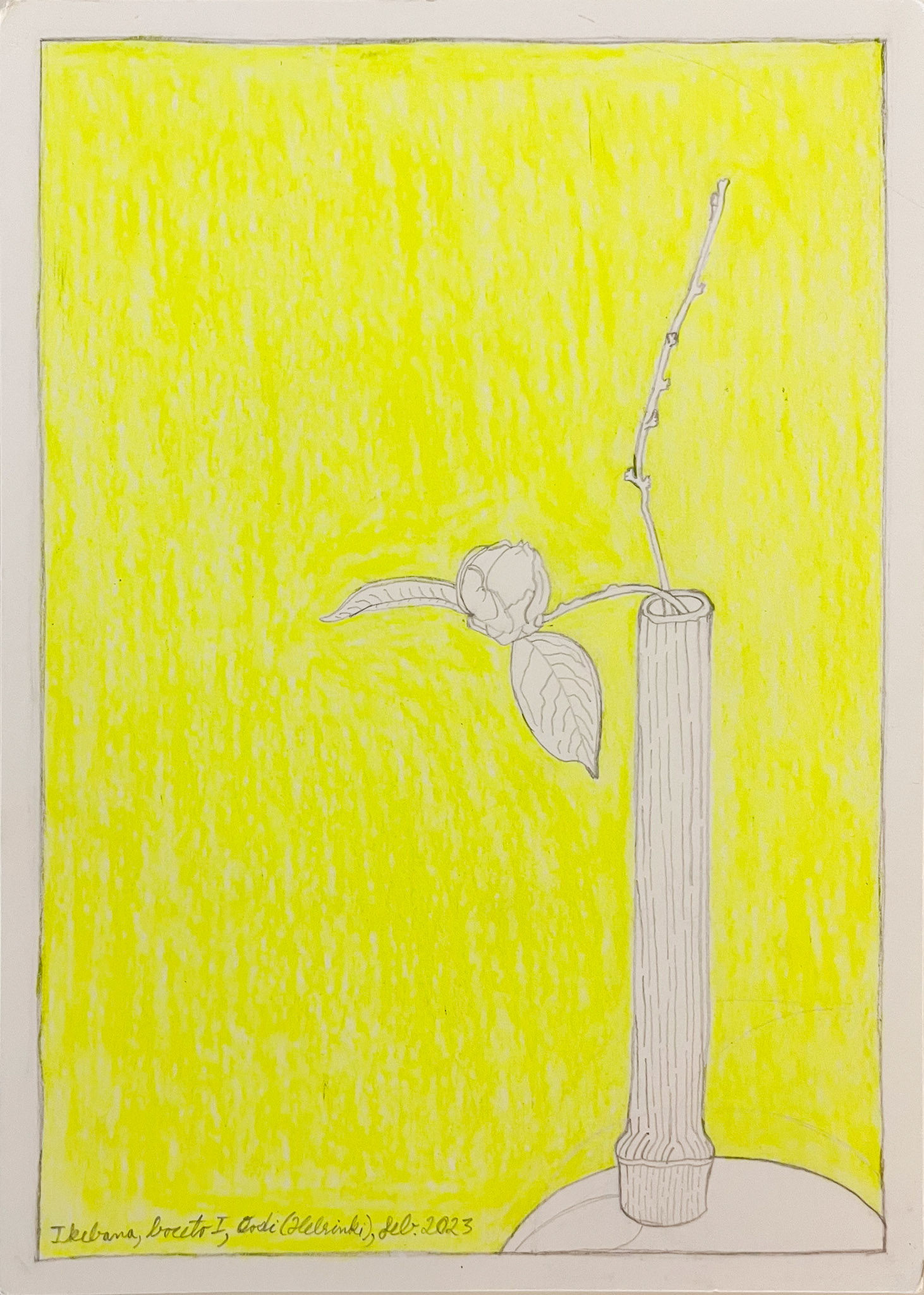 Ikebana I, sketch, Finland 2024; Color pencil and pencil on aquarelle paper