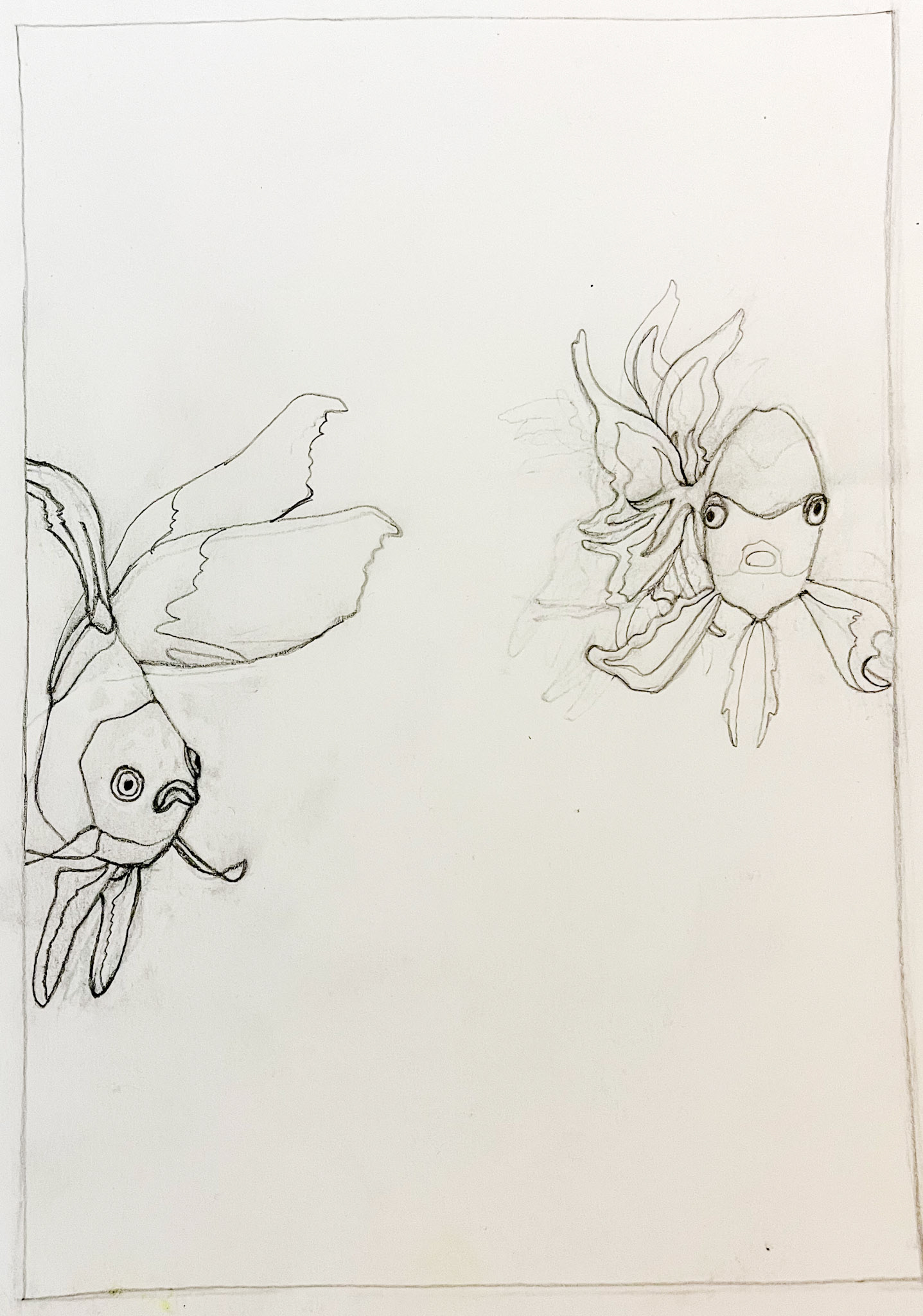 Two Gold fish, sketch for Fish Series, Finland 2024; Pencil on aquarelle paper