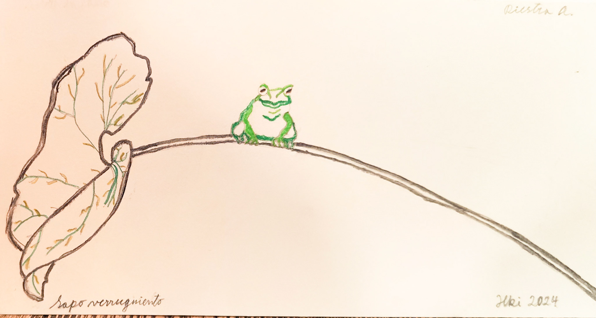 Warty frog, Finland 2024; Mixed media on aquarelle paper