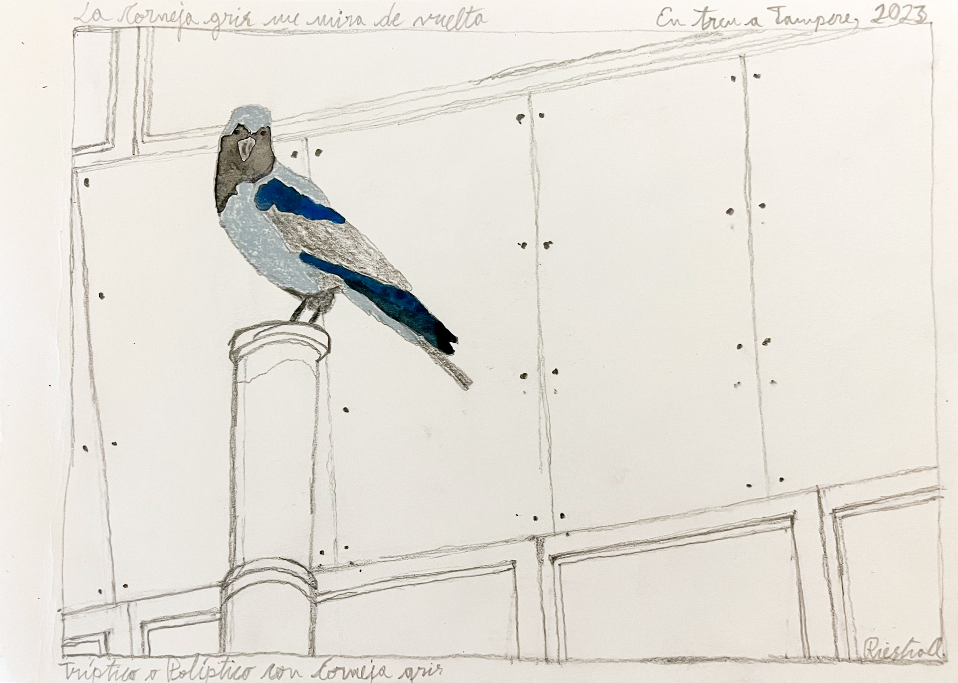 The hooded crow stares me back, triptych, Series Corvidae, Finland 2023; Mixed media on aquarelle paper