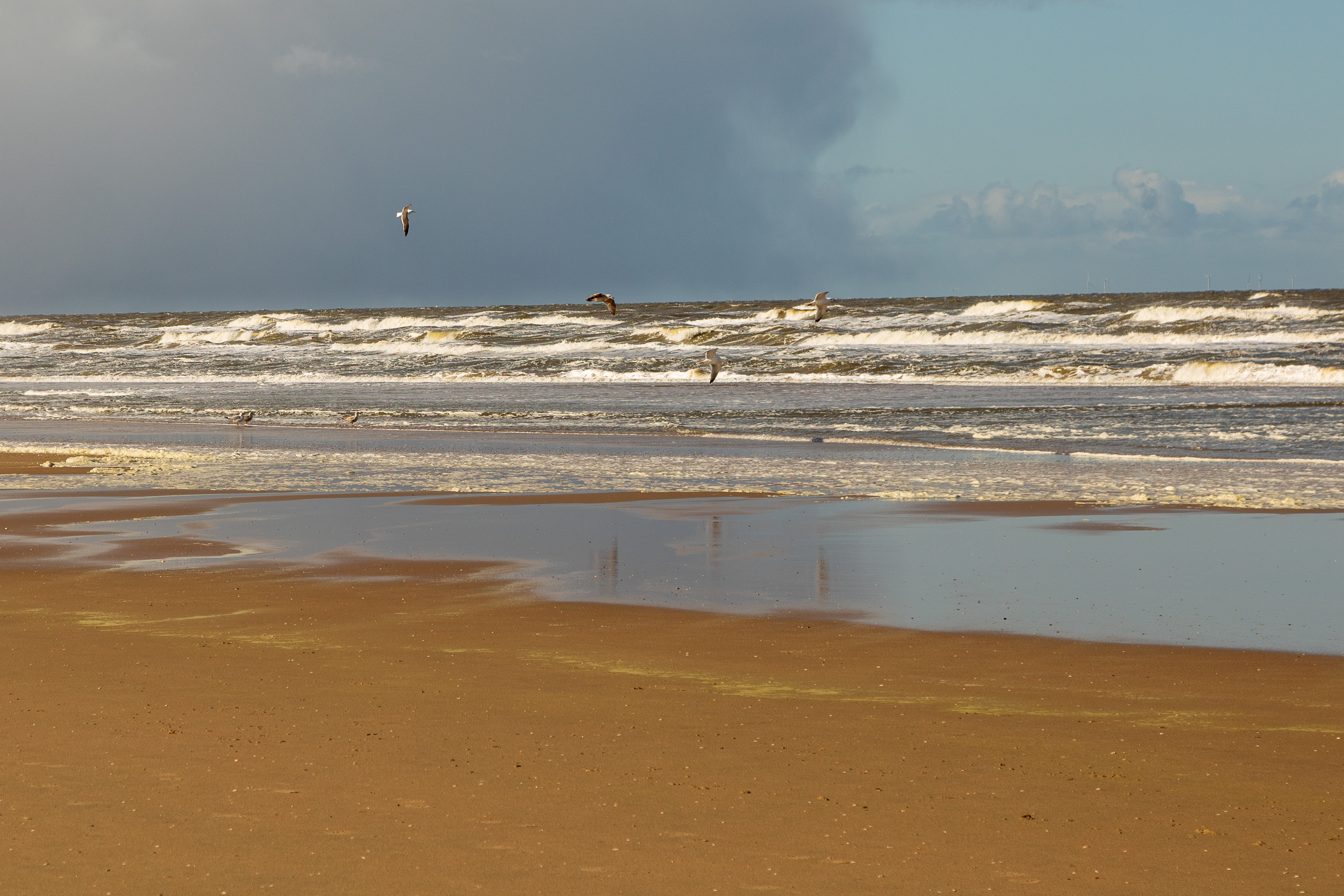 Stormy beach scene in the Netherlands